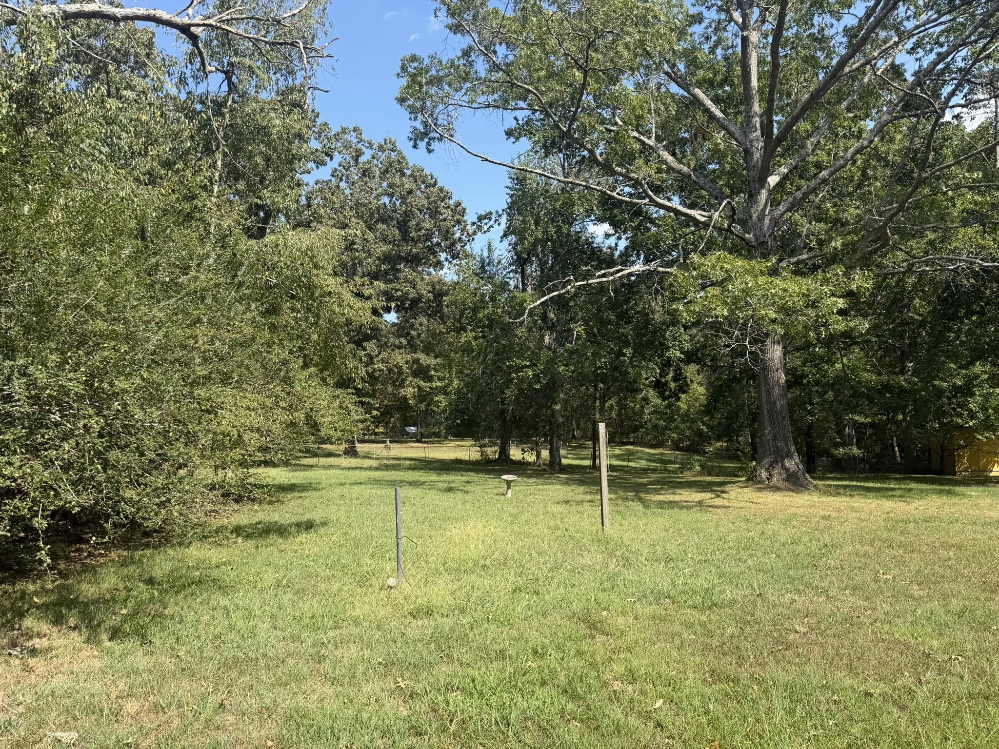 IMG_3917.JPEG