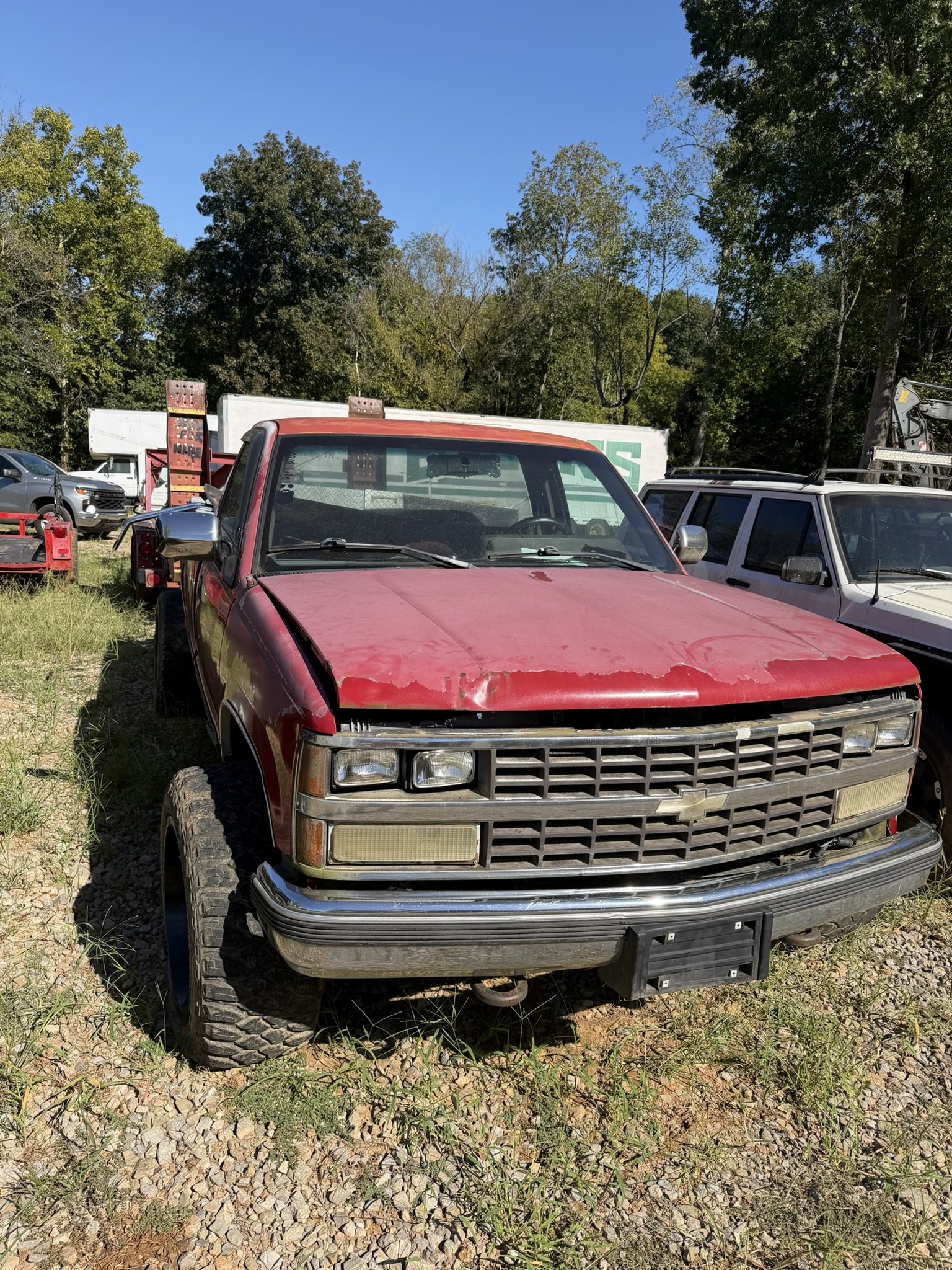 IMG_4009.JPEG