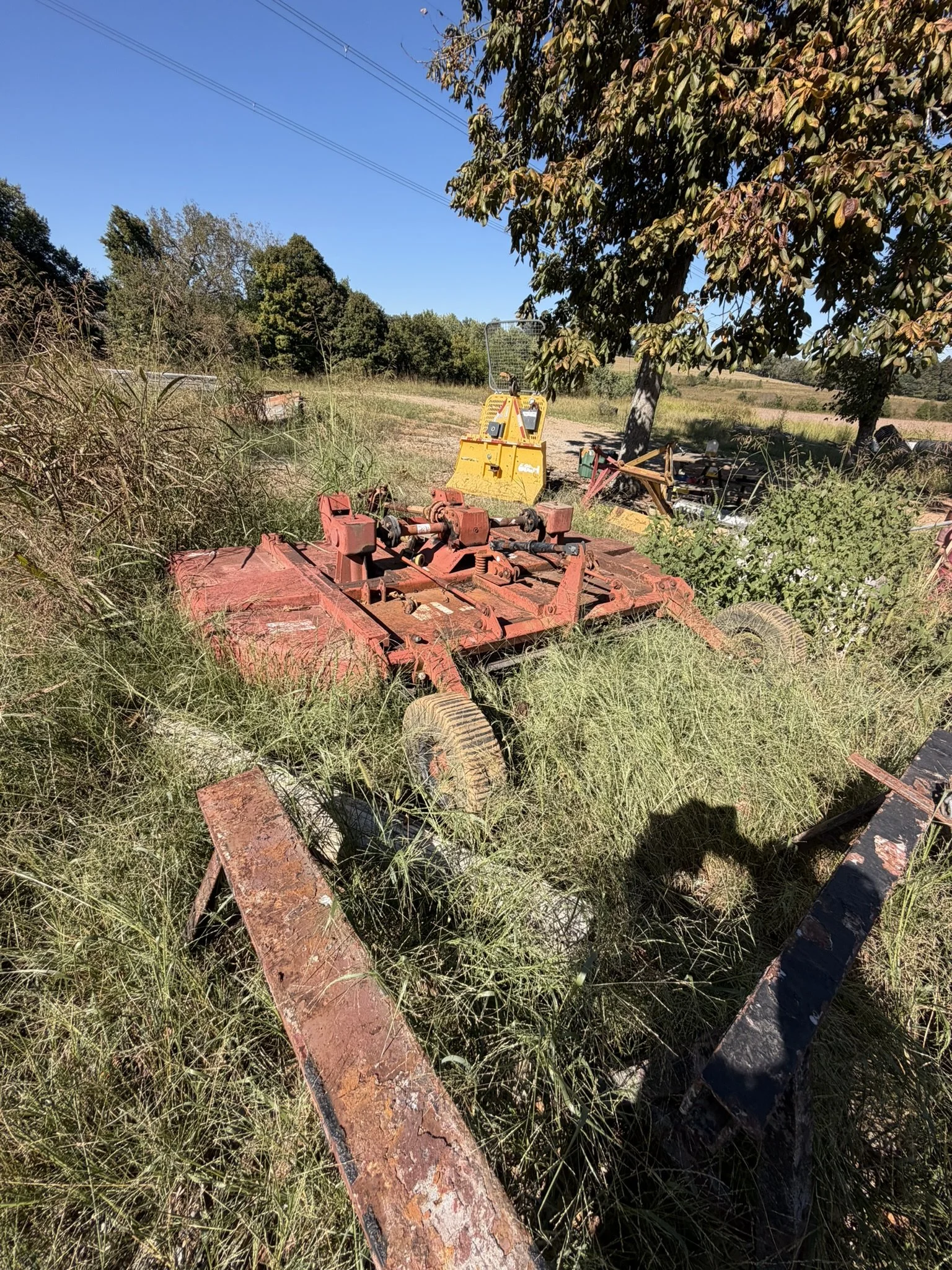 IMG_4035.JPEG