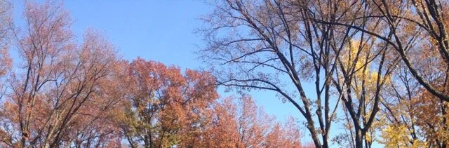 IMG_1942-1.jpeg
