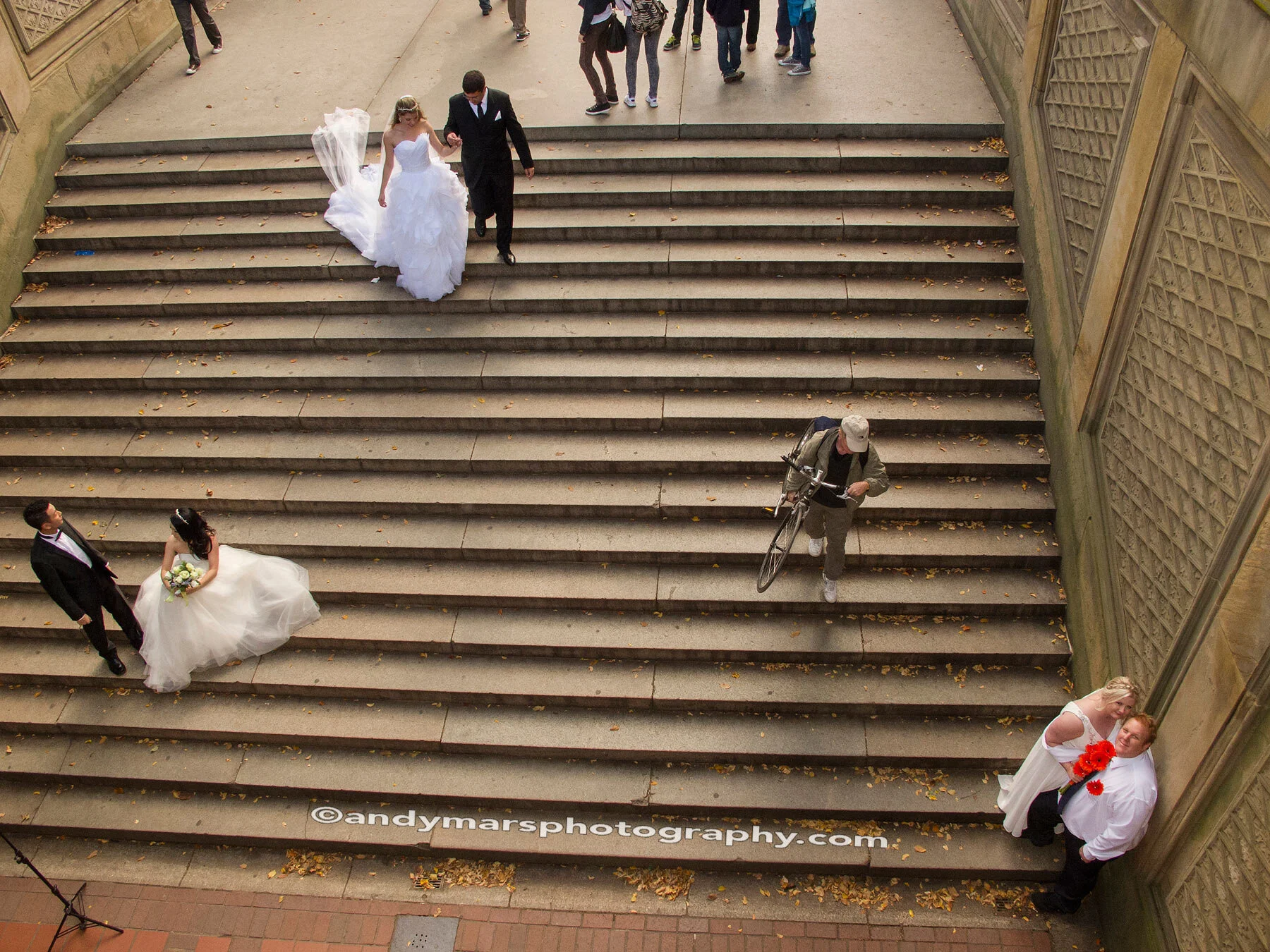 01_Central-Park-Multiple-Weddings_Andy-Mars_WEB_W.jpg