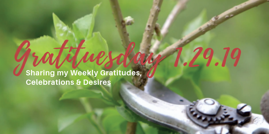 Gratituesday-3-2.png