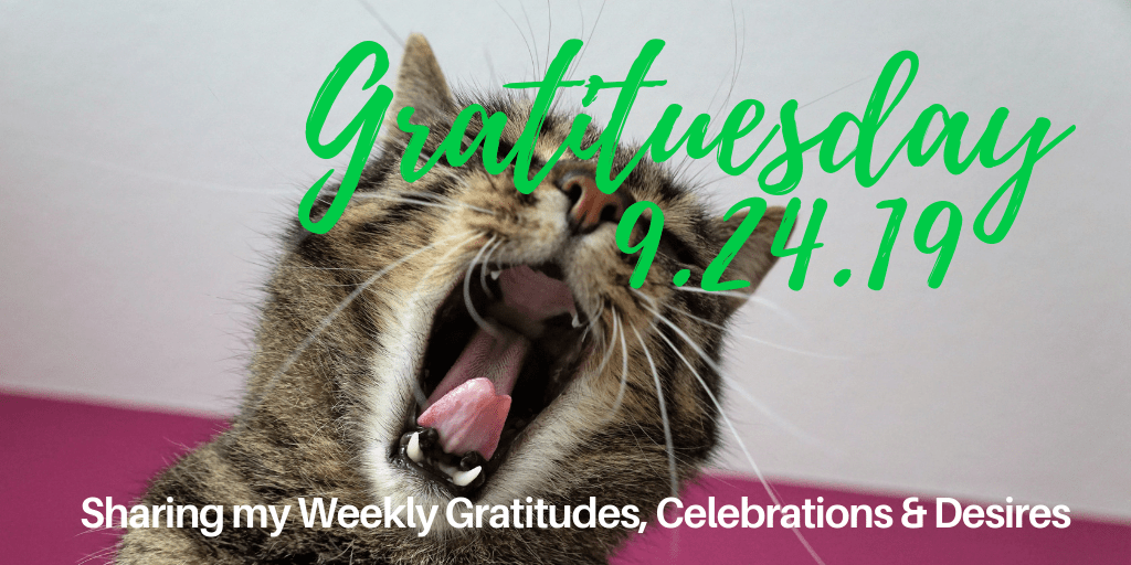 Gratituesday 9.24.19 - Just tired