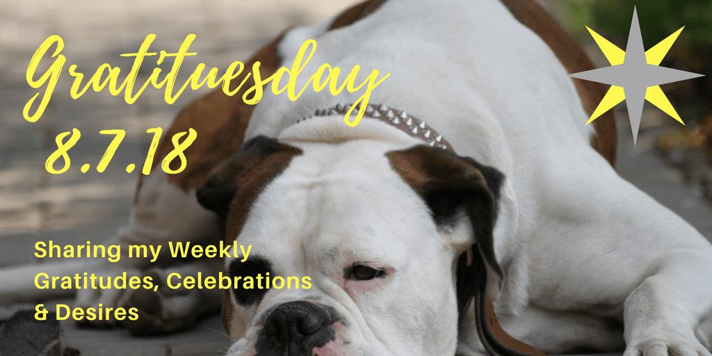Gratituesday 8.7.18 - The Dog Days of Summer