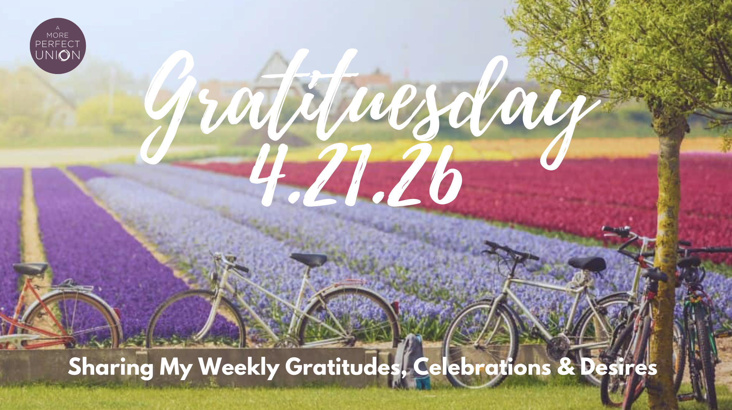 Gratituesday 4.21.26 -Adventures through the Tulips!