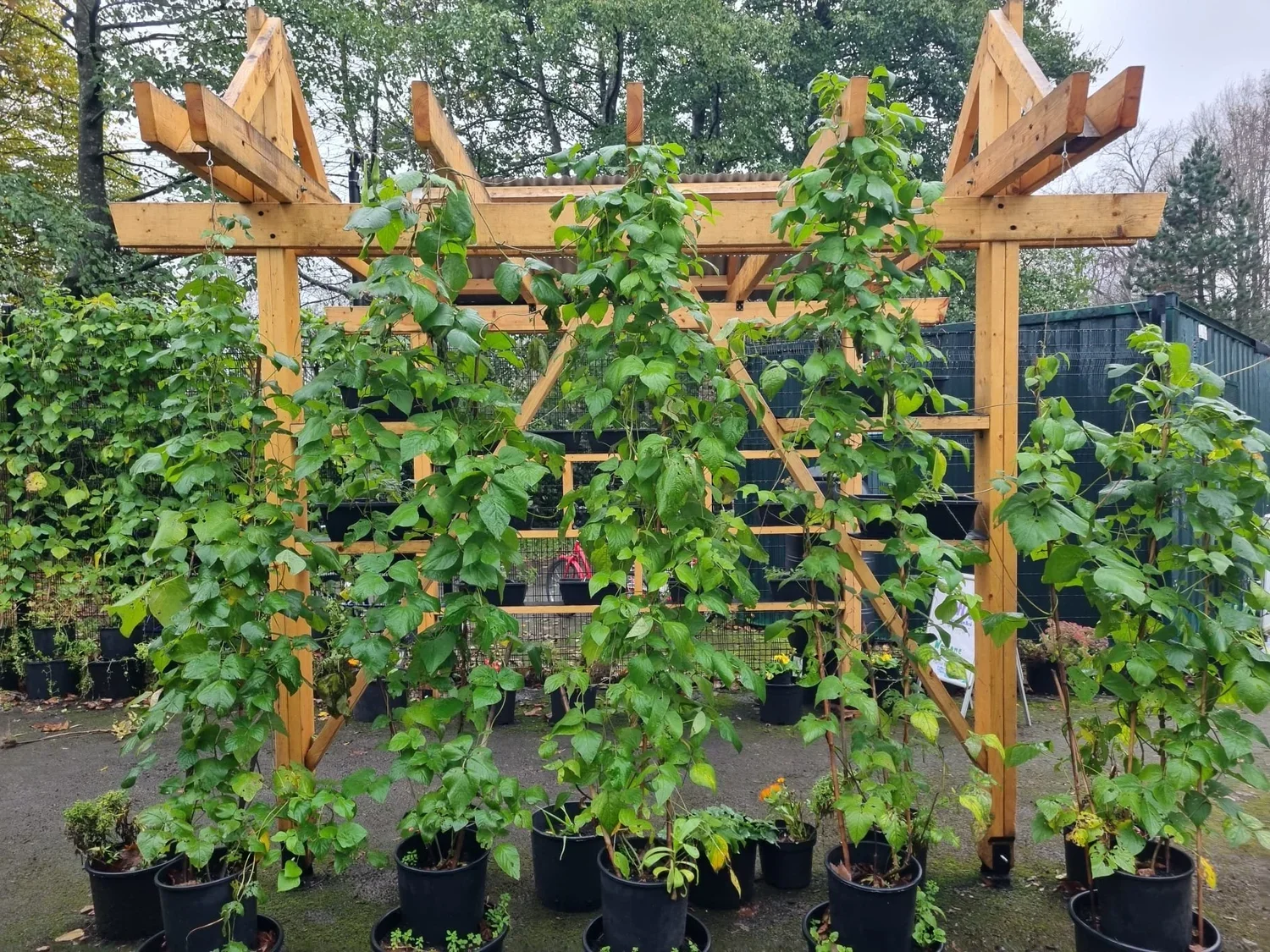 Think Make Grow- Oldham