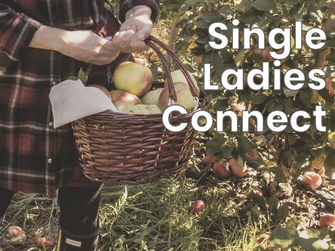 Single Ladies - Fall Connect Event