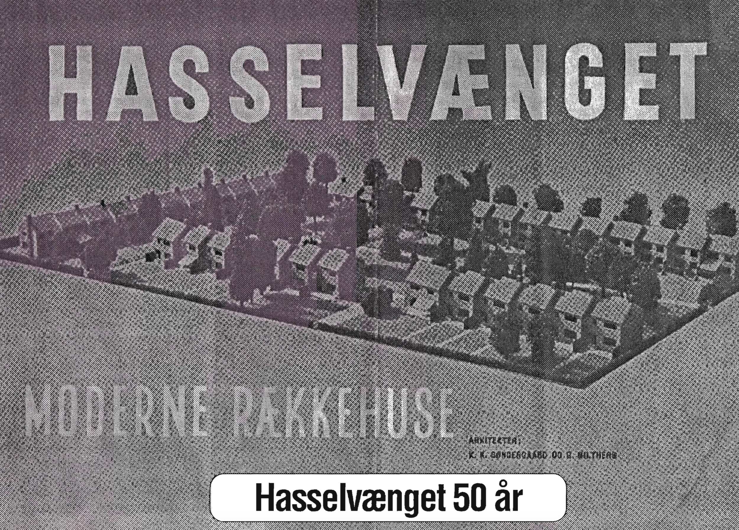 Jubilæumsskrift Hasselvænget