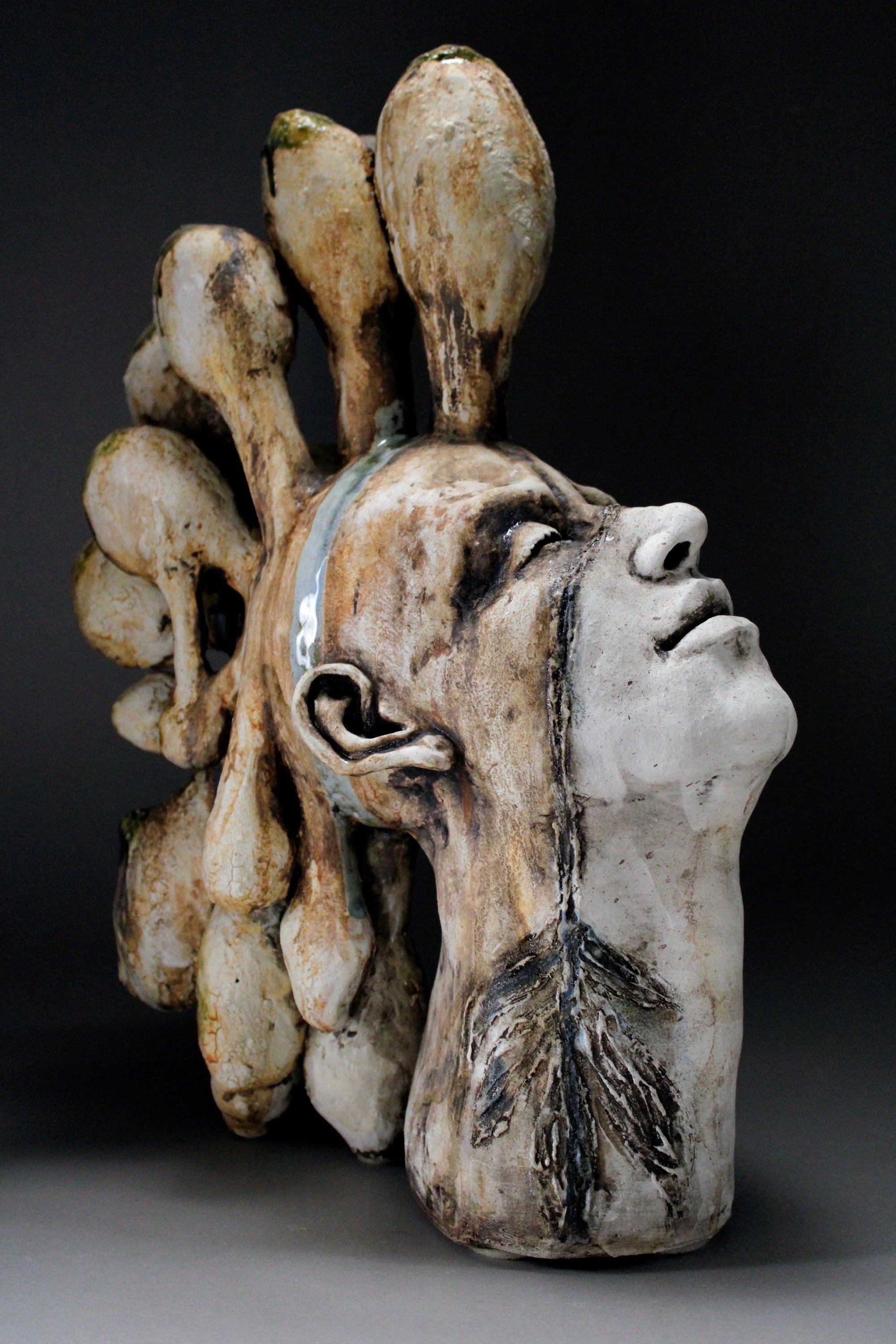 Lush 4 : A Contemporary Ceramics Biennial