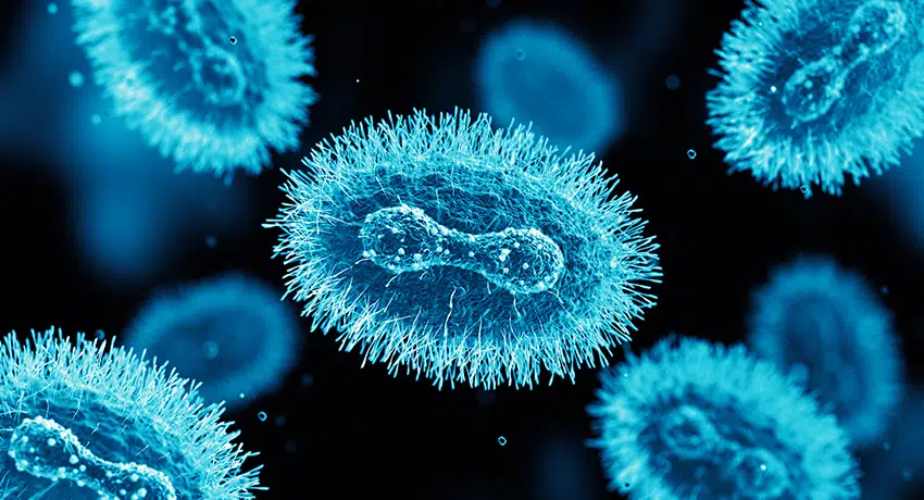 May 7: Mpox is first identified in a non-endemic nation