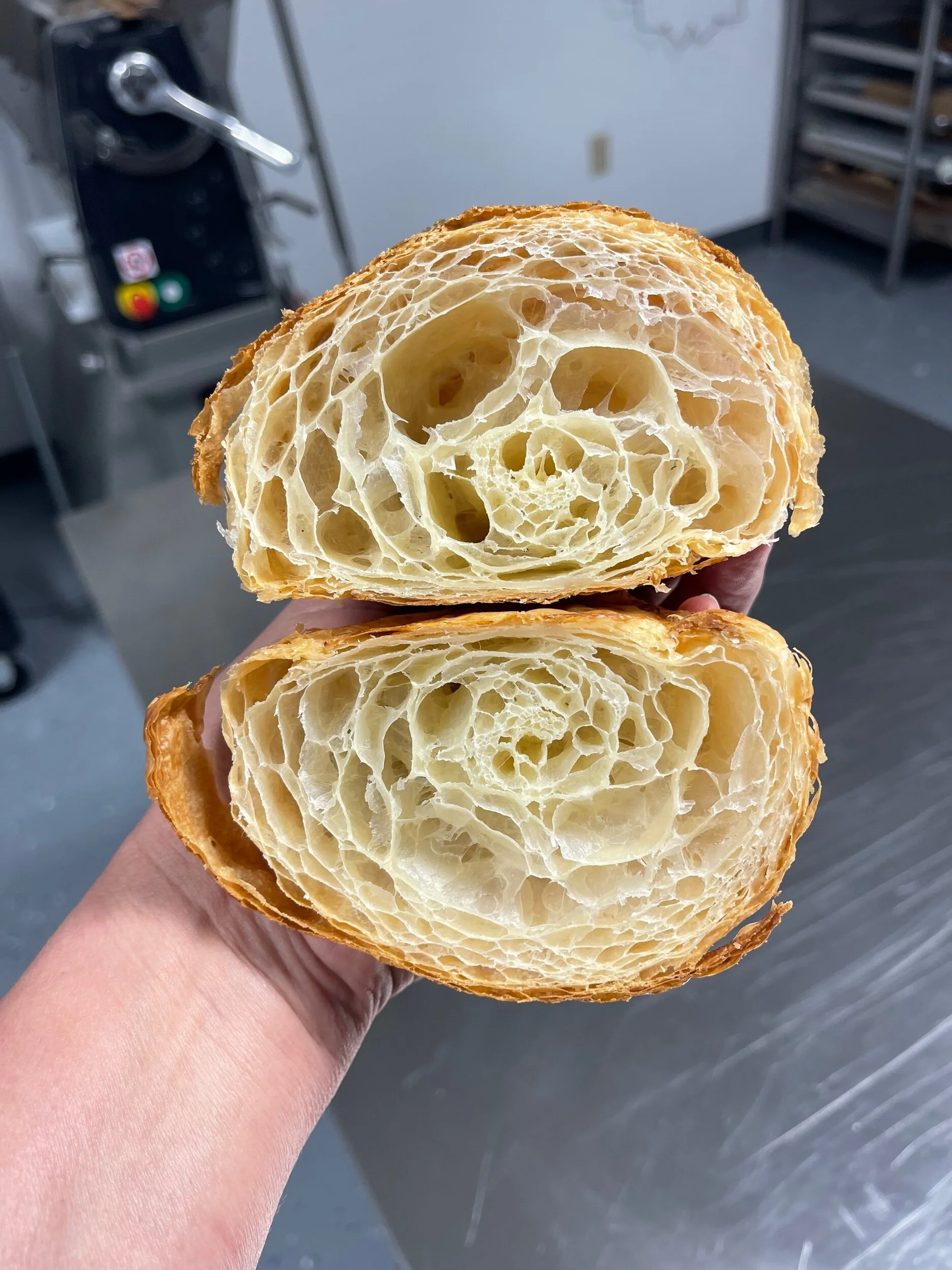 6EC2C76F-6D17-4828-8FD1-1CA82341441B