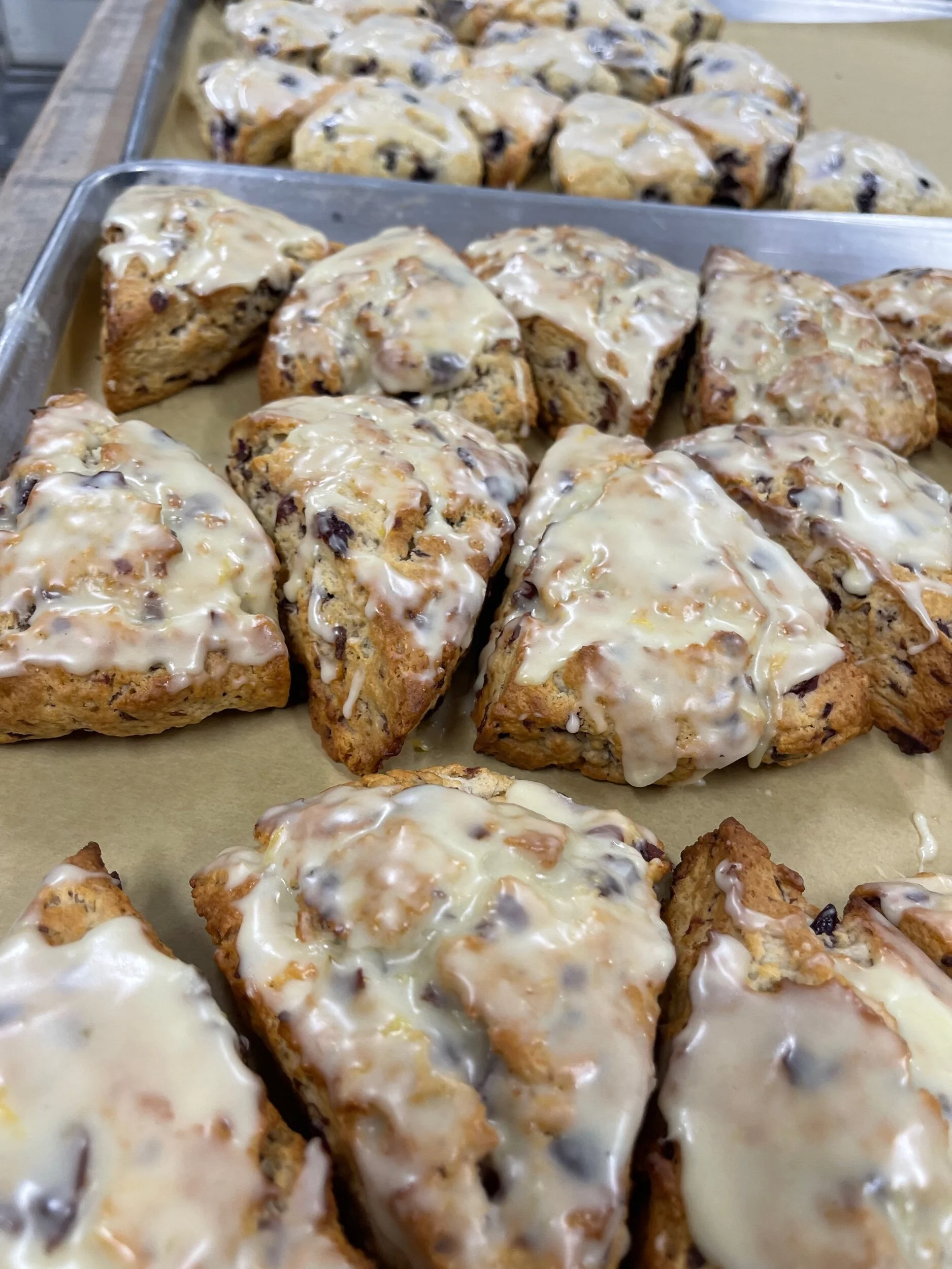 1563B405-0F96-4B0D-B5F5-4432A372045A