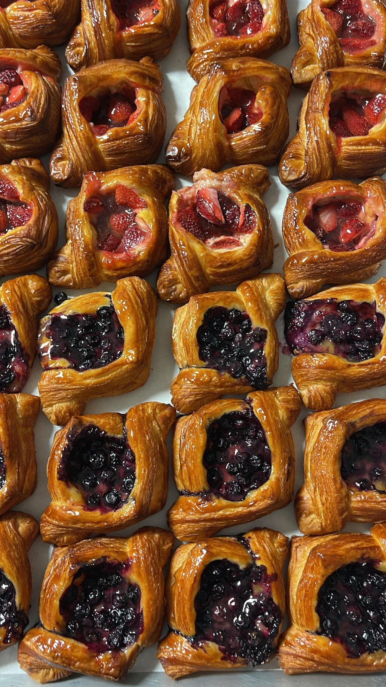 33BF7824-73CF-42C1-8B0A-FED56CCA31A9