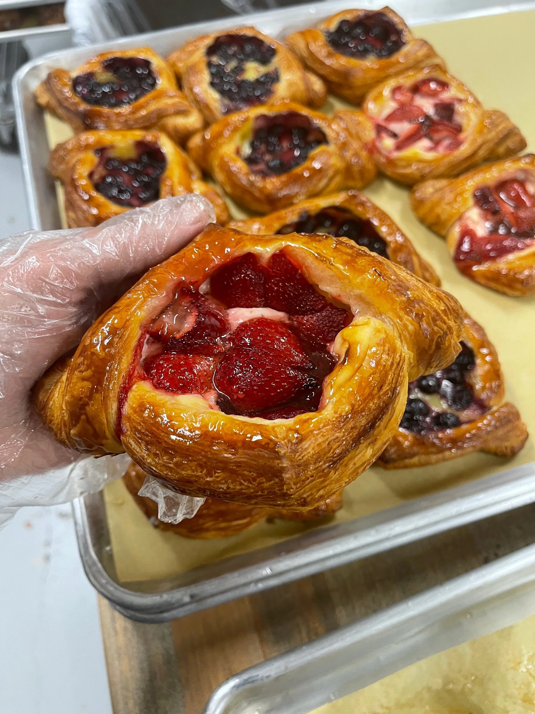 D70434C1-C2E9-4C8F-AFCF-39512CB65681