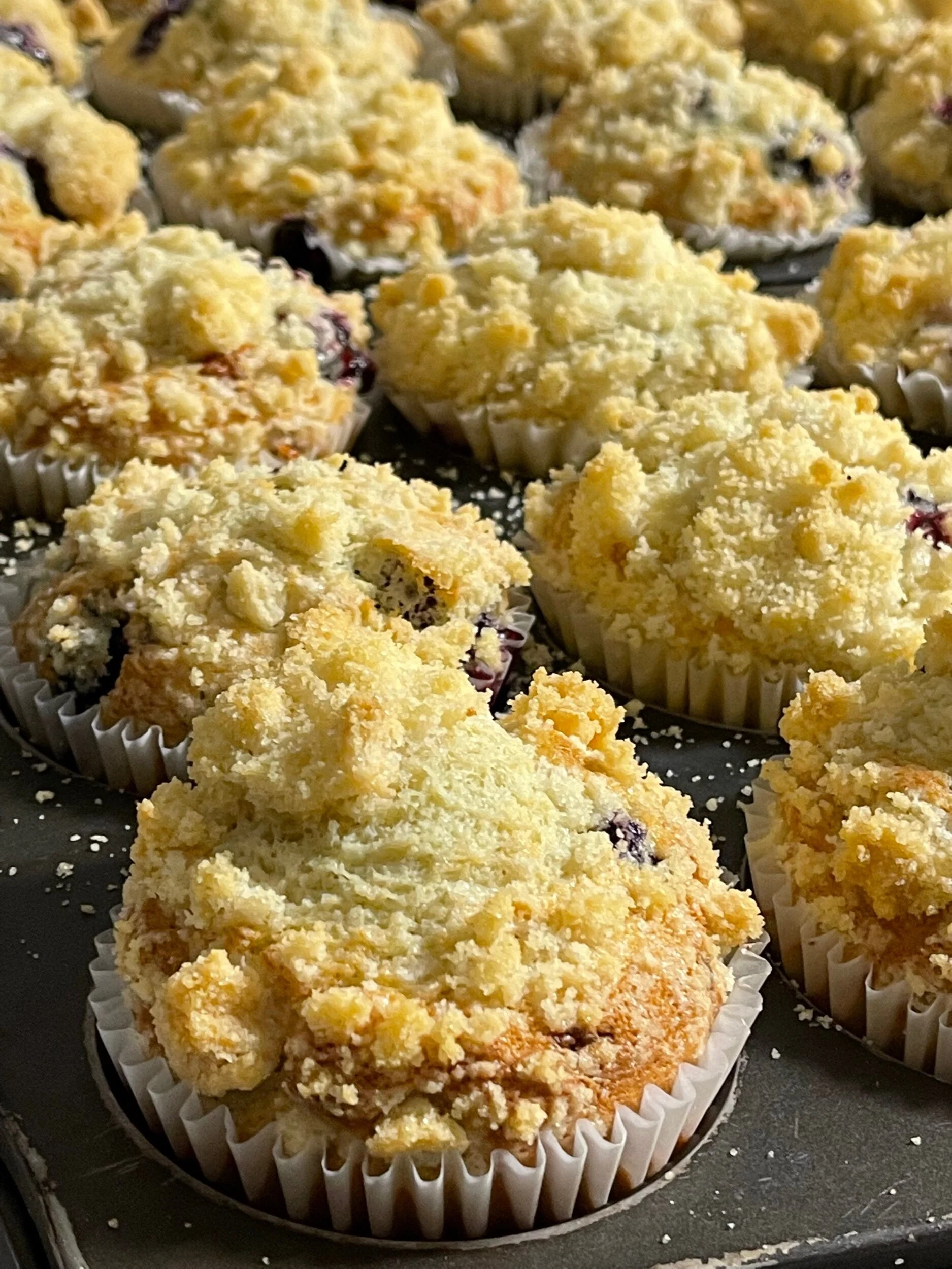 D5148205-6095-458F-8D26-DE22727EA82D