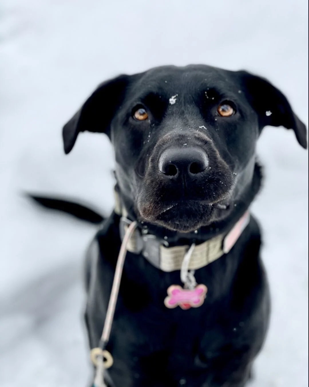 My Blu... can&rsquo;t wait to see her!!!