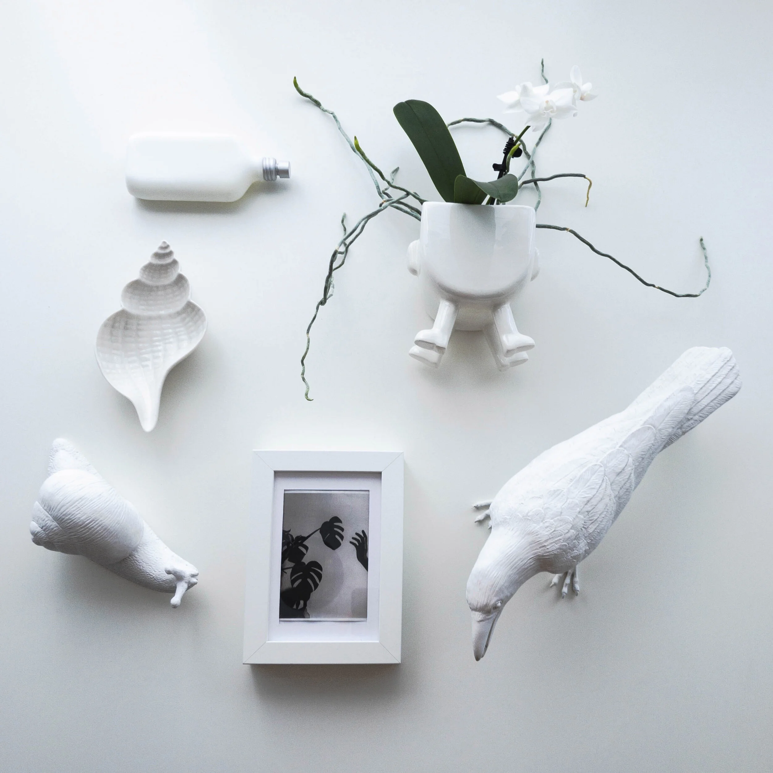 blanco bodegón.jpg