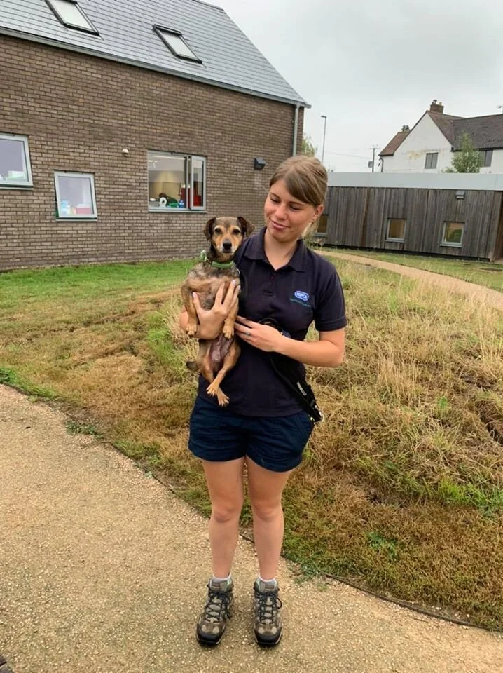 cotswold cats and dogs home