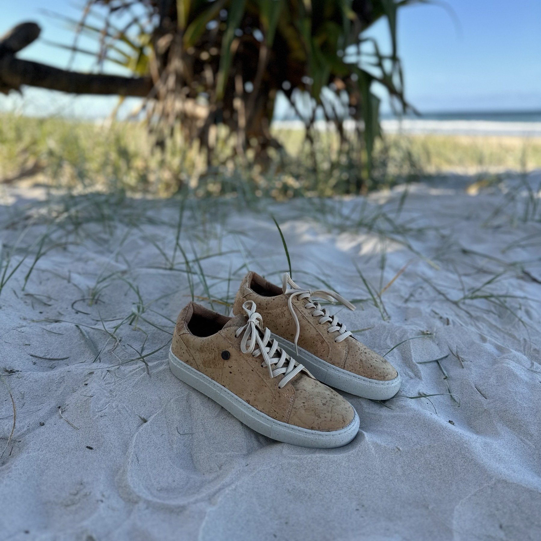 IMG_5101.jpeg