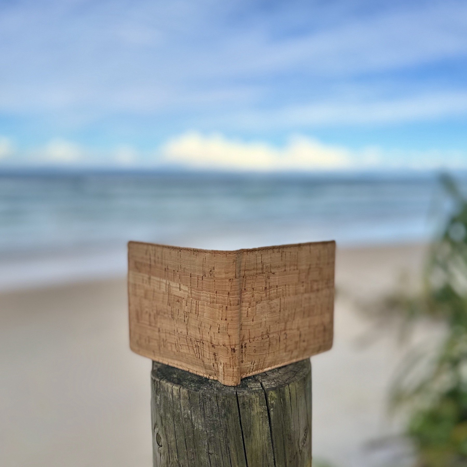 IMG_3403.jpeg