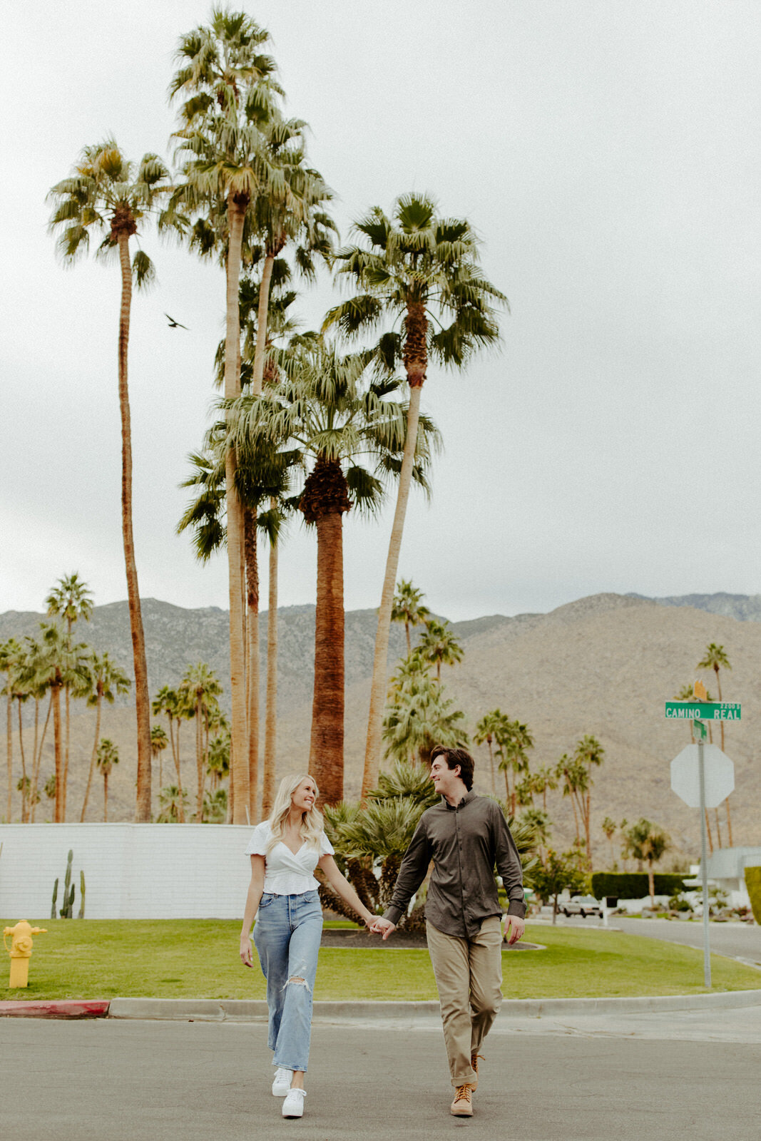Brianna-Broyles-Photography-Pink-Palm-Springs-Engagement-Session-15.jpg