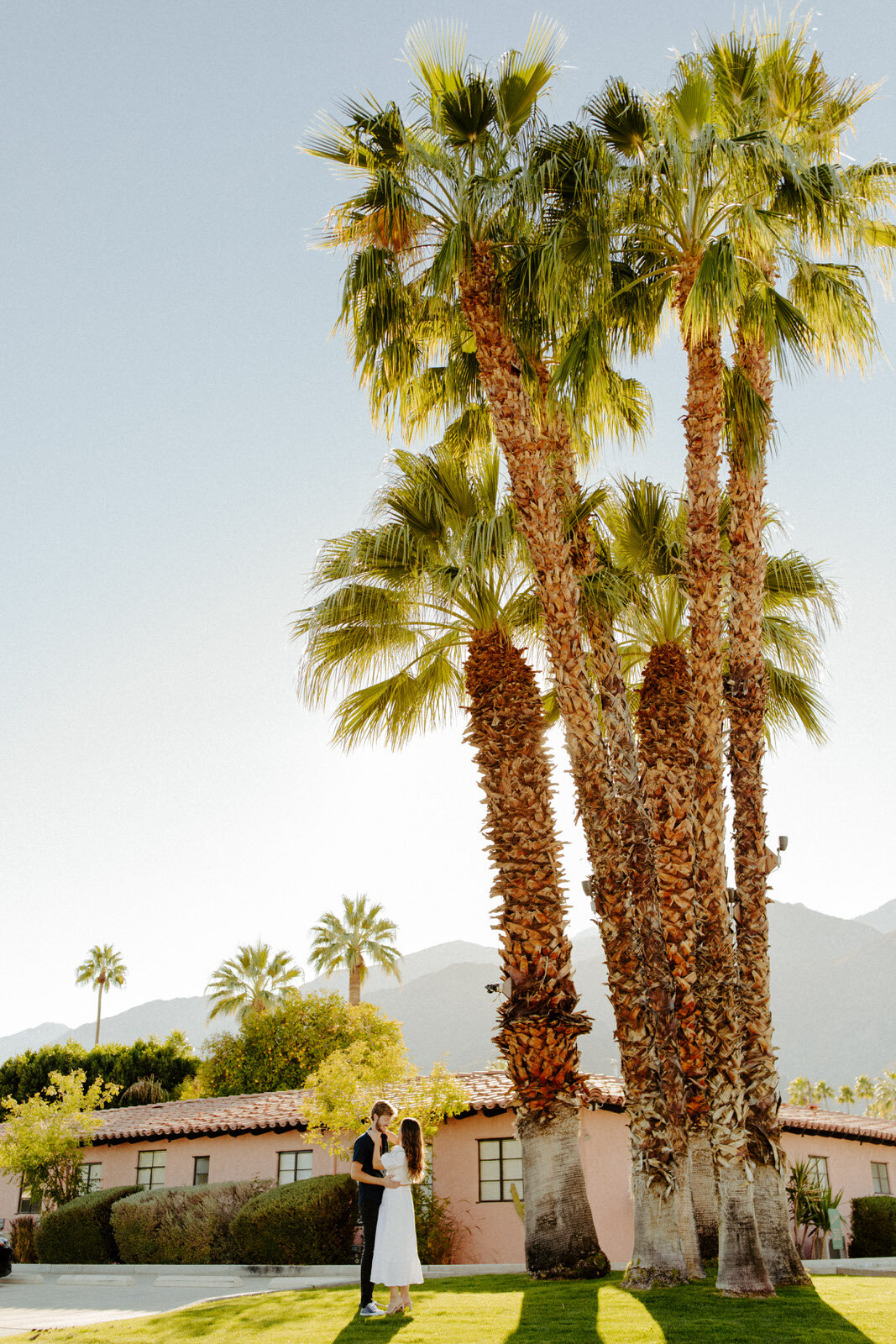 Les-Cactus-Palm-Springs-Engagement-Brianna-Broyles-14.jpg