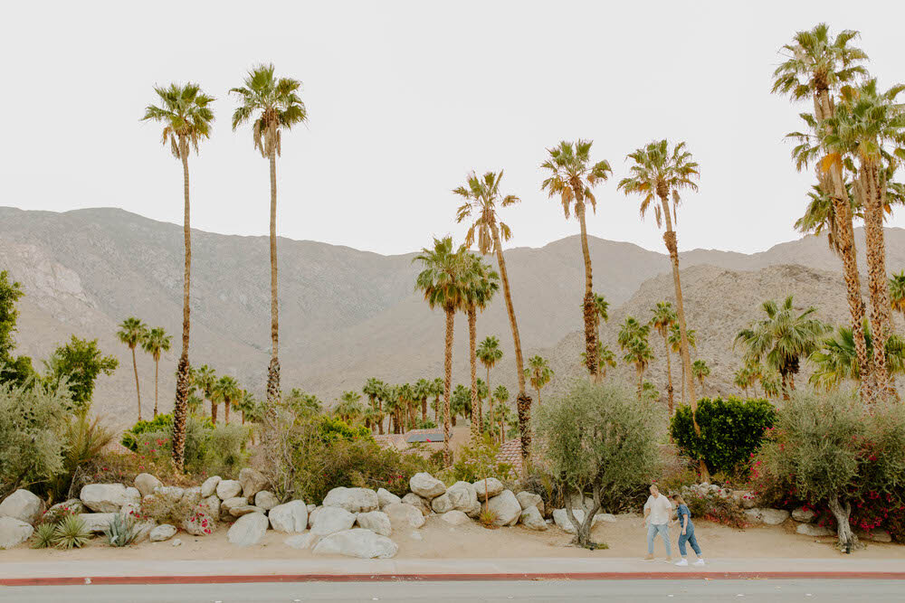 golden-hour-palm-springs-engagement-session-15.jpg