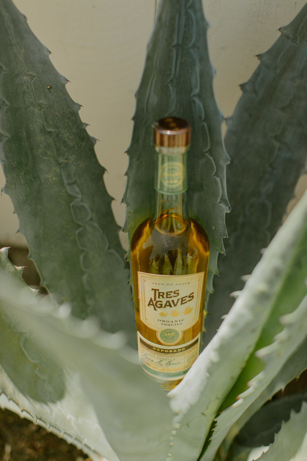 Tres-Agaves-Tequila-Commercial-Photography-13.jpg