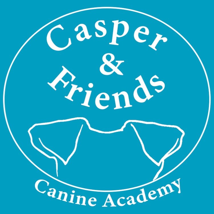 Casper &amp; Friends K9 Academy