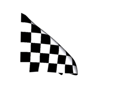 checkered flag.gif