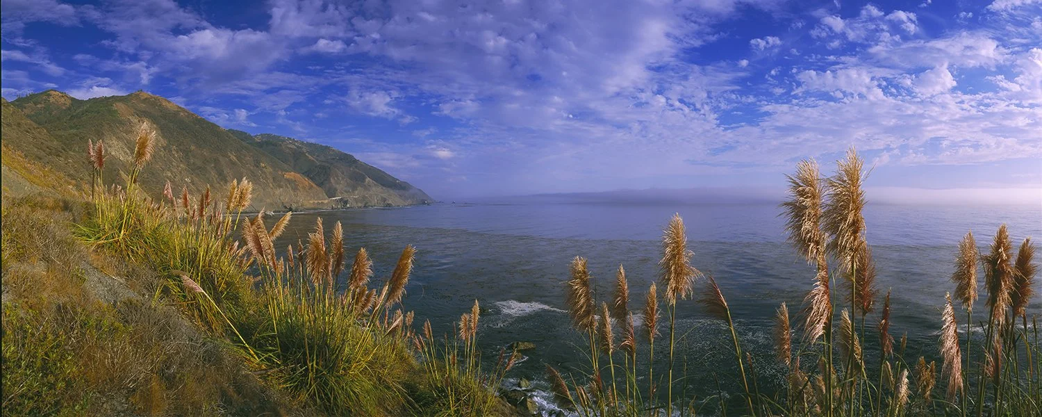 Panoramic rocky California coastline with coastal grasses, ocean and mountains beneath a partly cloudy sky.
