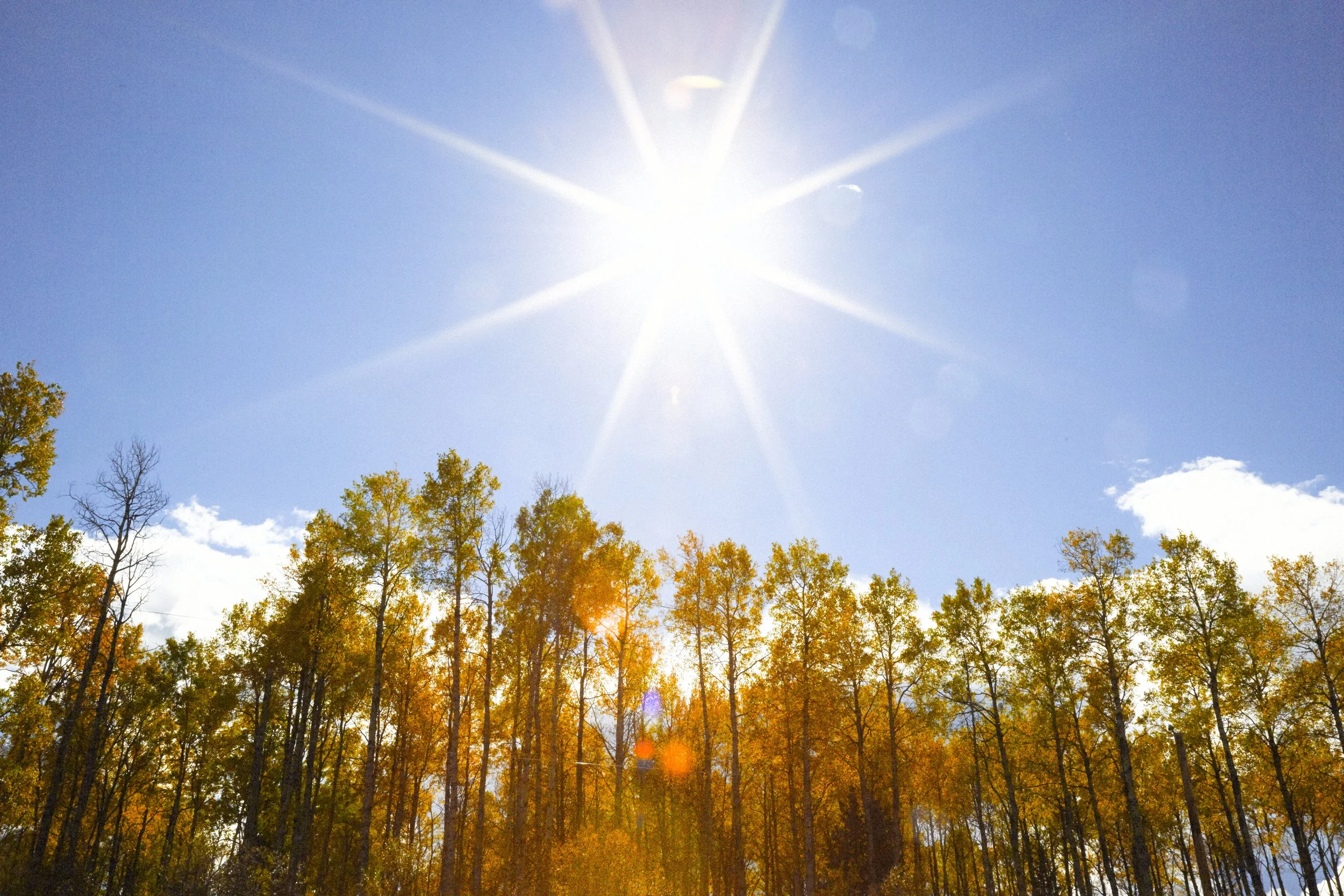 Fall Jasper_382-Exposure.jpg