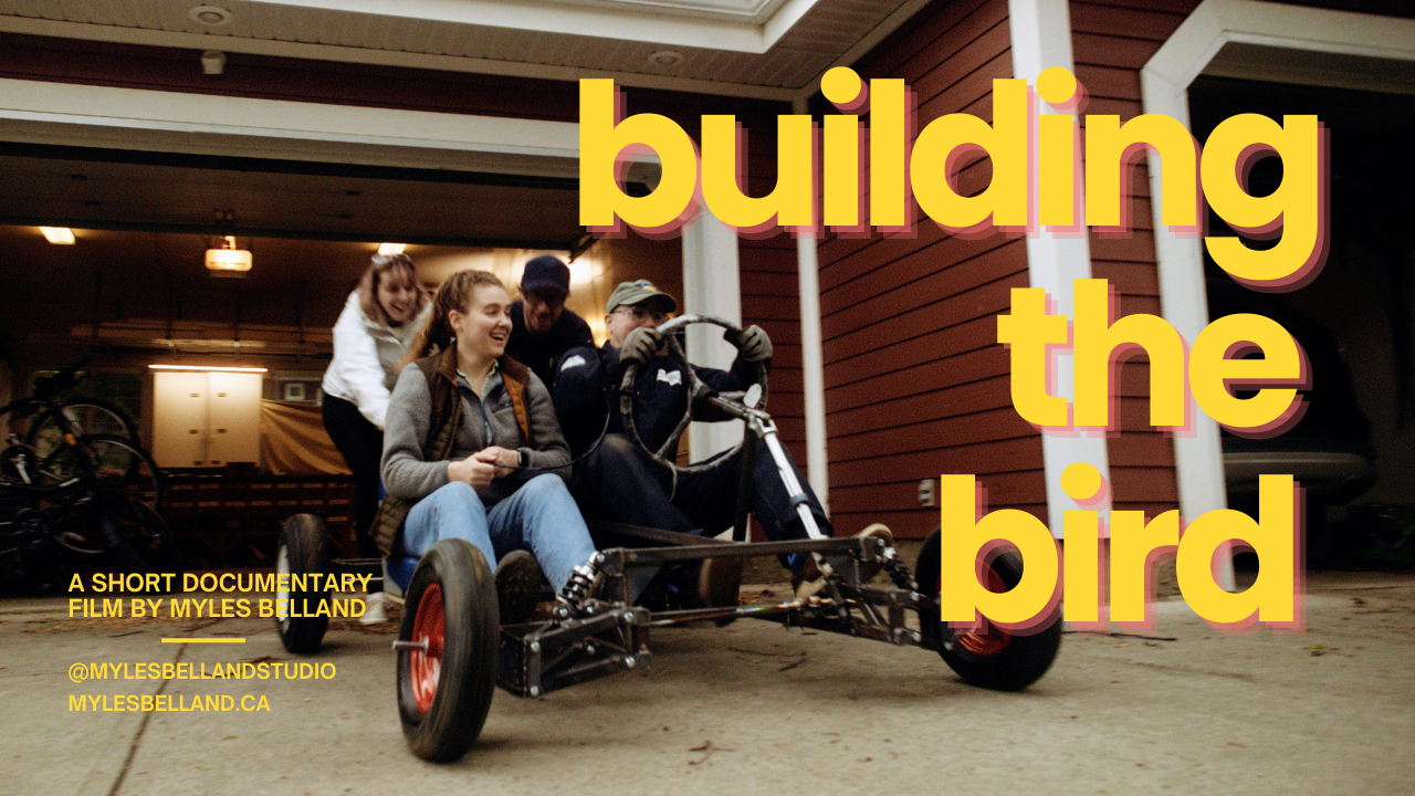 building the bird
