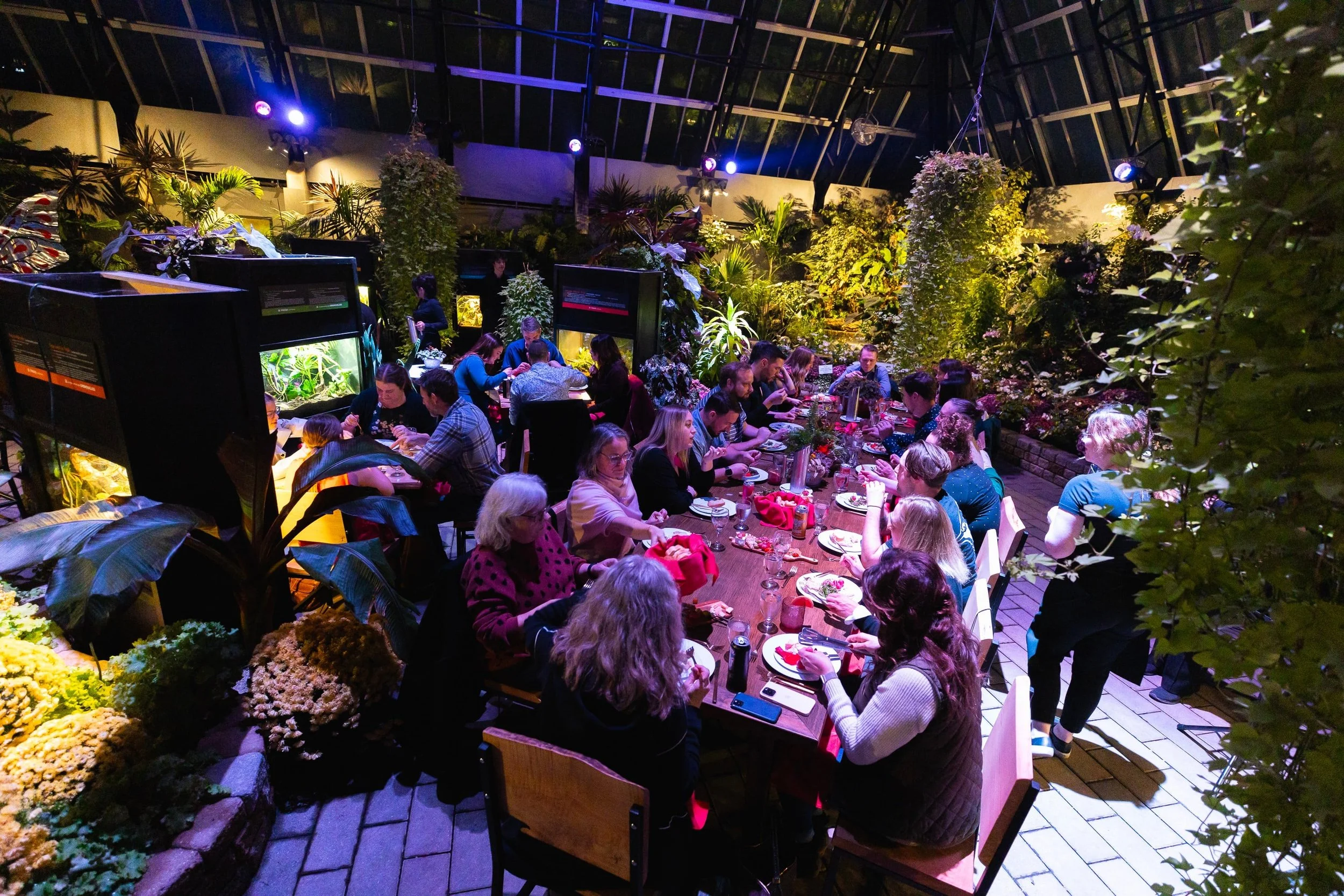 2024-11-16 - Muttart Feature Dinner - web_18.jpg