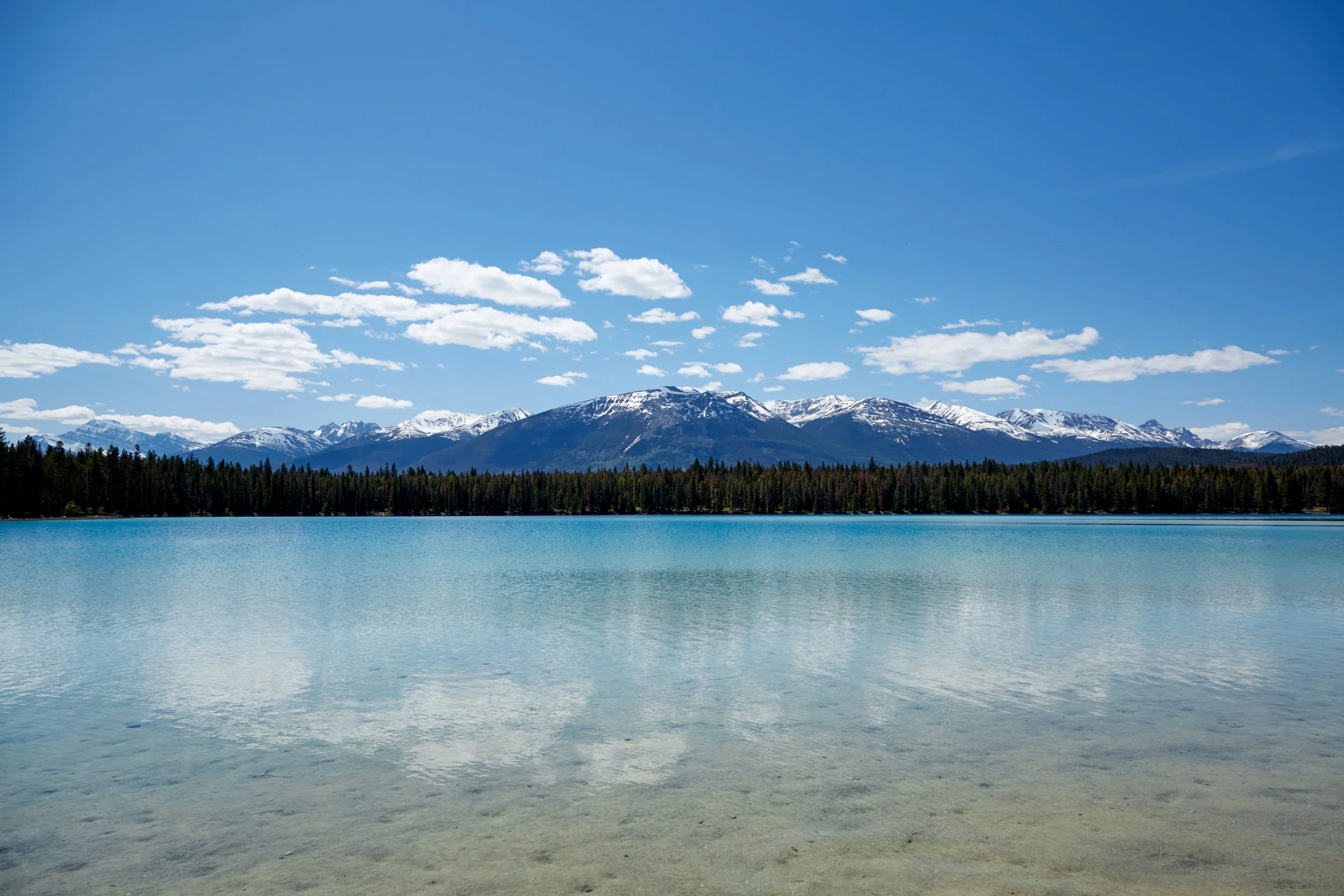 180520_Jasper_05.jpg