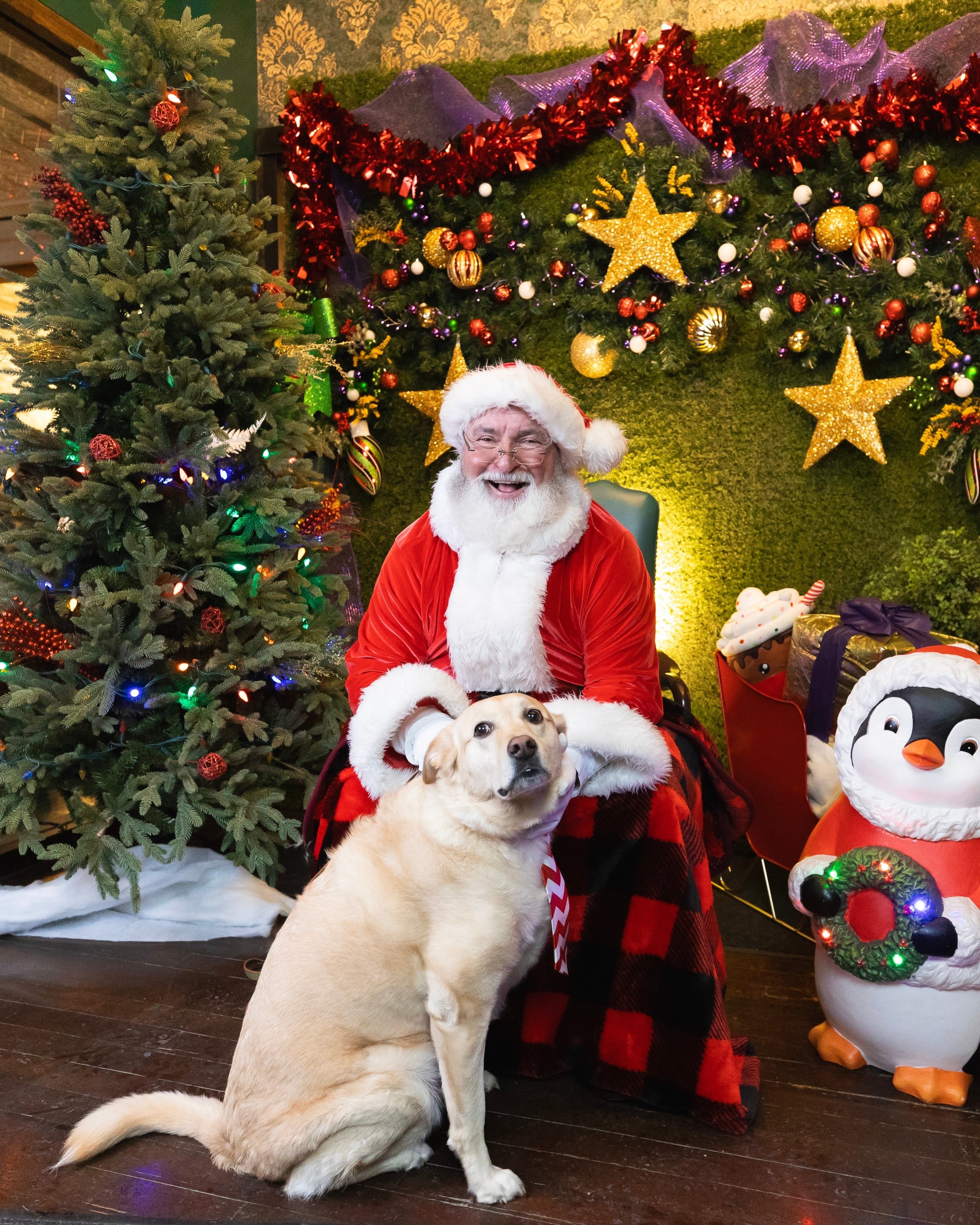 2024-11-23 - Santa Winterval-25.jpg