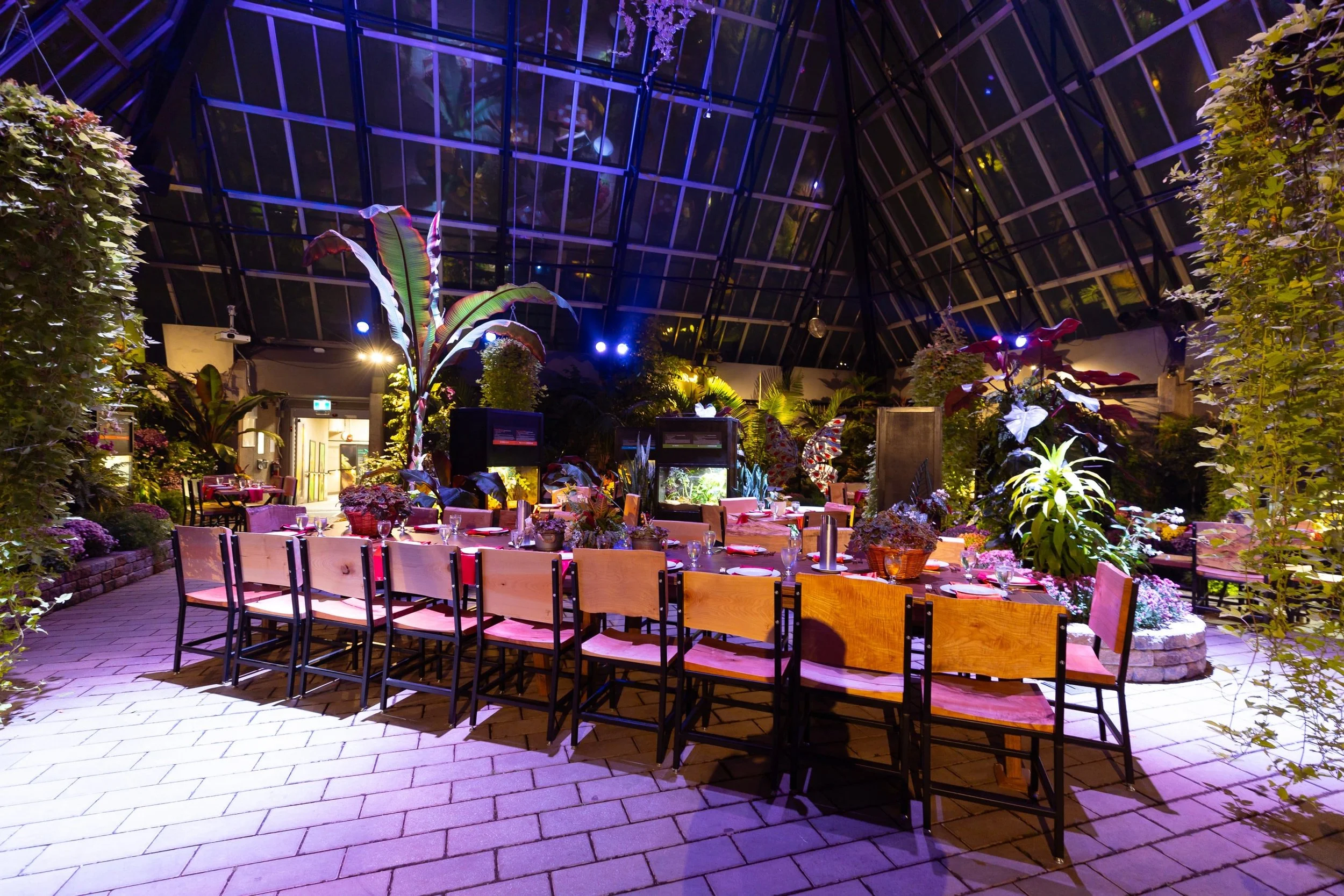 2024-11-16 - Muttart Feature Dinner - web_09.jpg