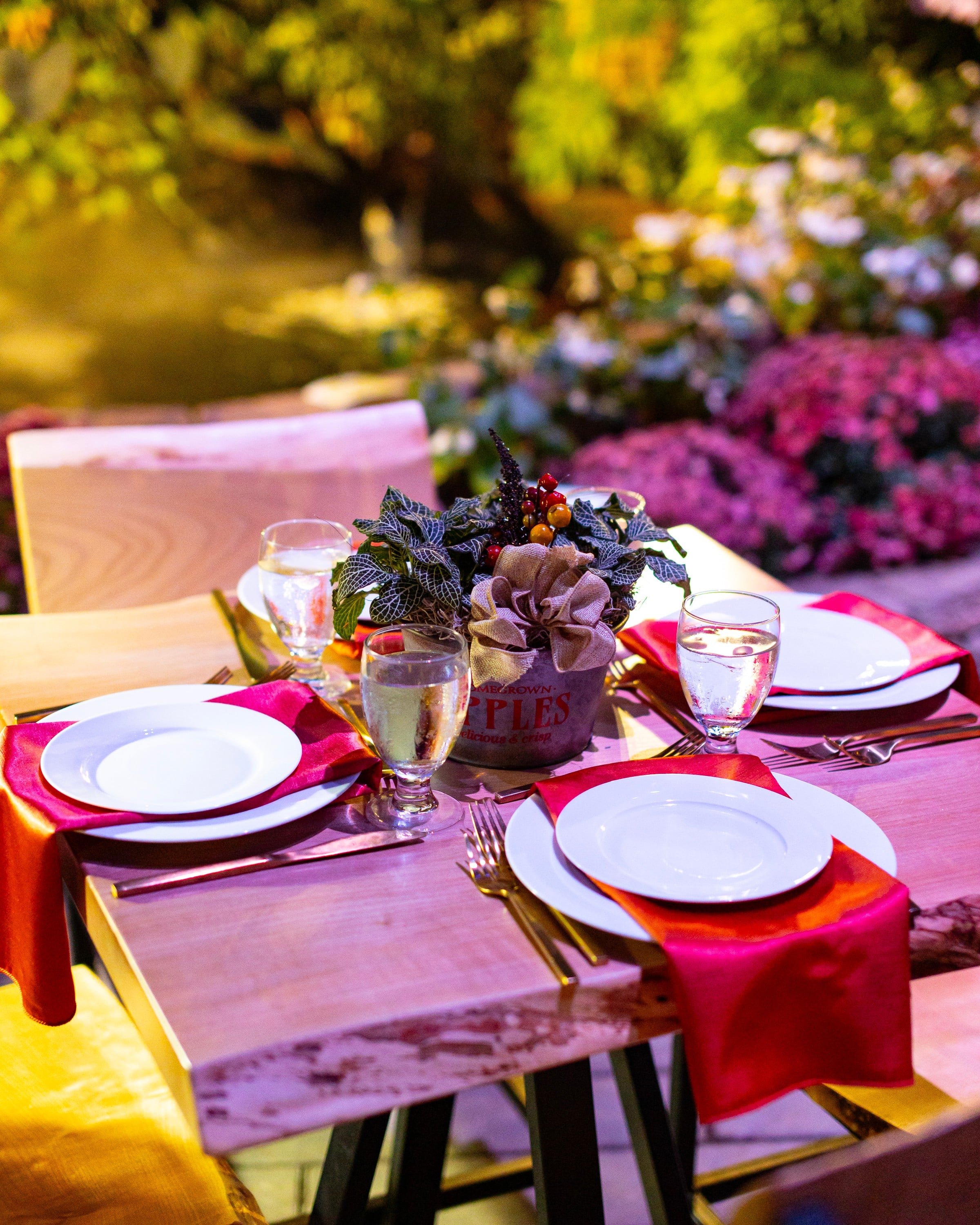 2024-11-16 - Muttart Feature Dinner_05.jpg