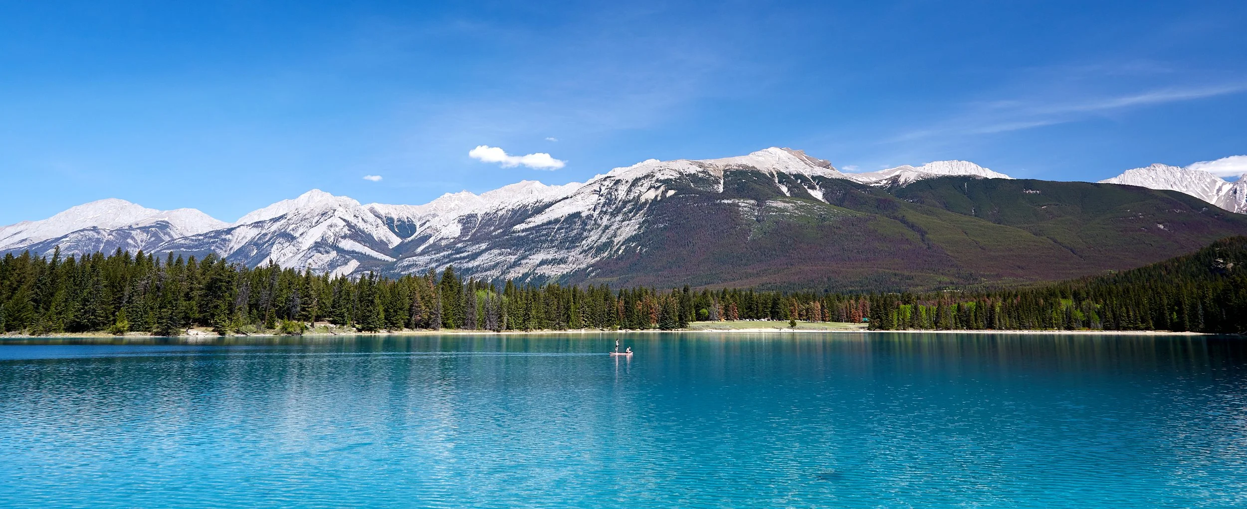 180520_Jasper_06.jpg