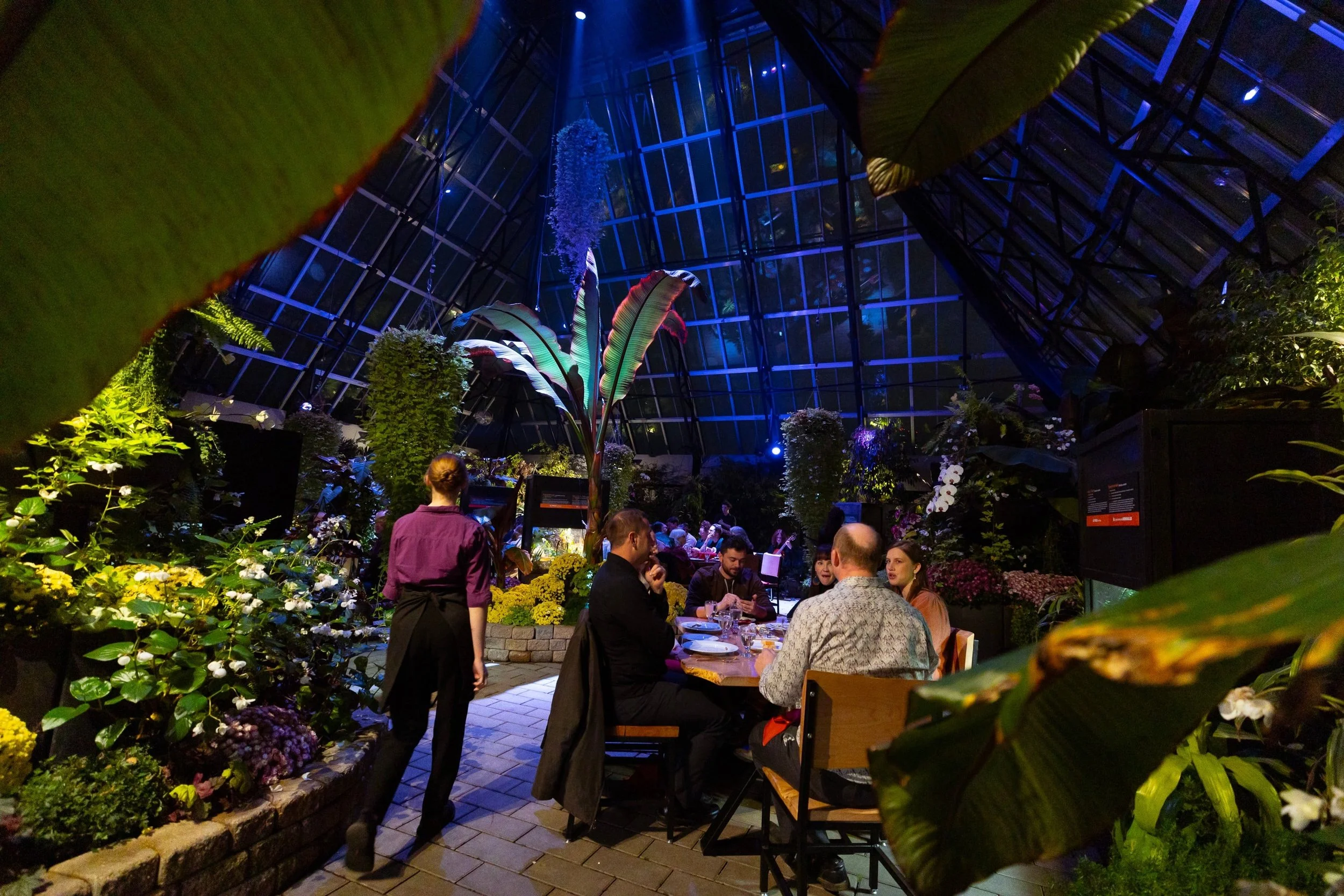 2024-11-16 - Muttart Feature Dinner - web_20.jpg