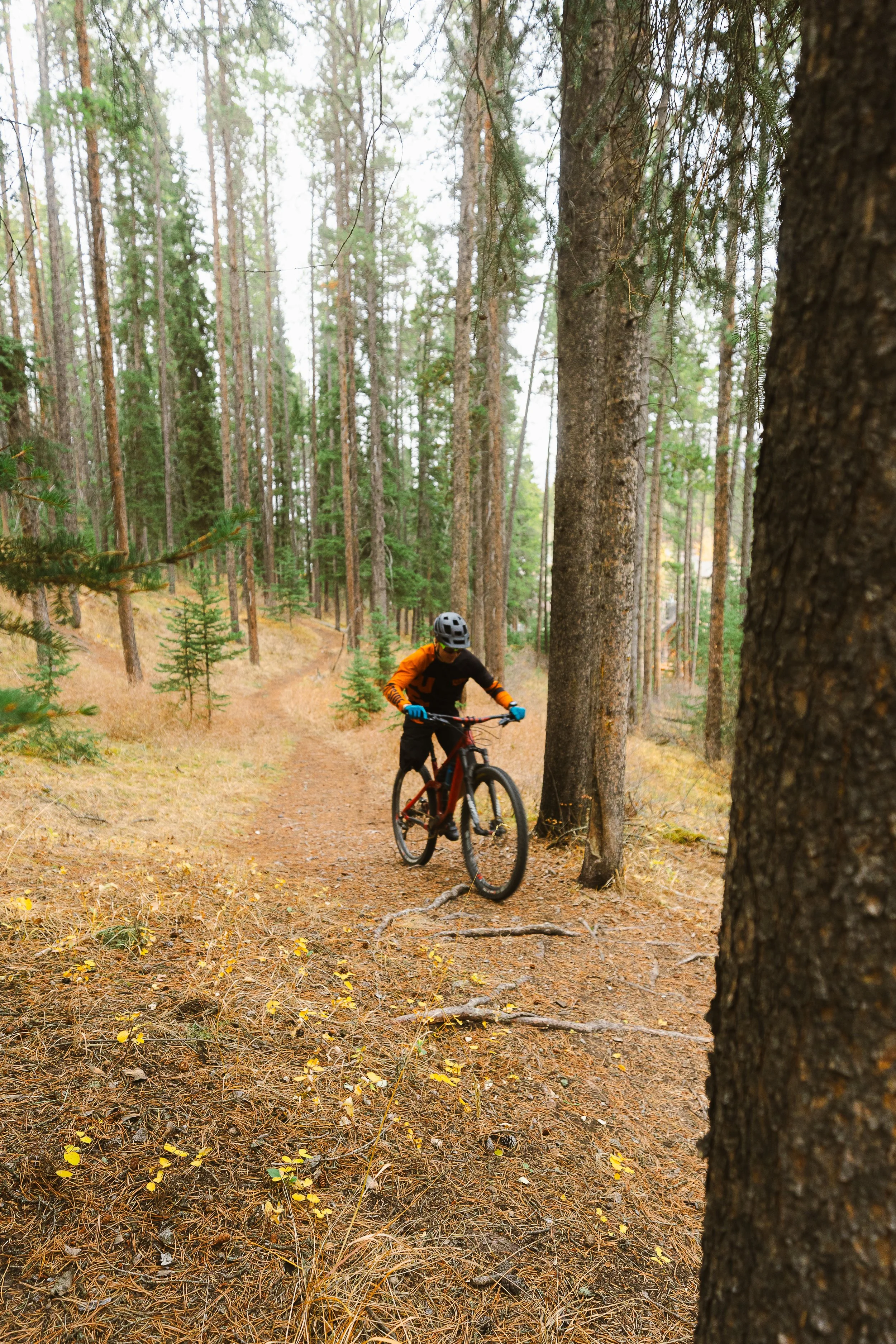 matt mountain biking