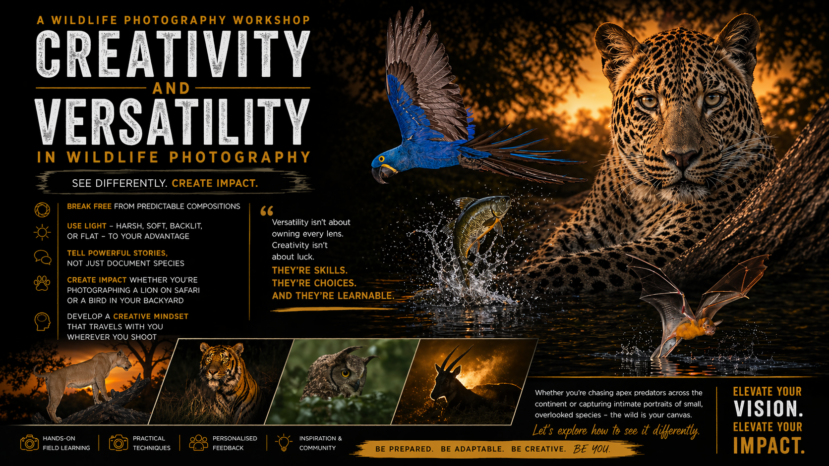 Creativity & Versatility as a Wildlife Photographer