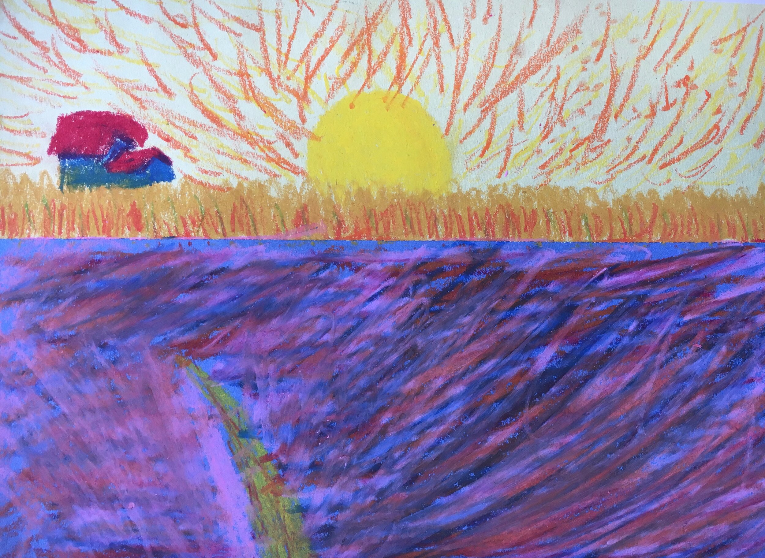 IMG_3850.jpg