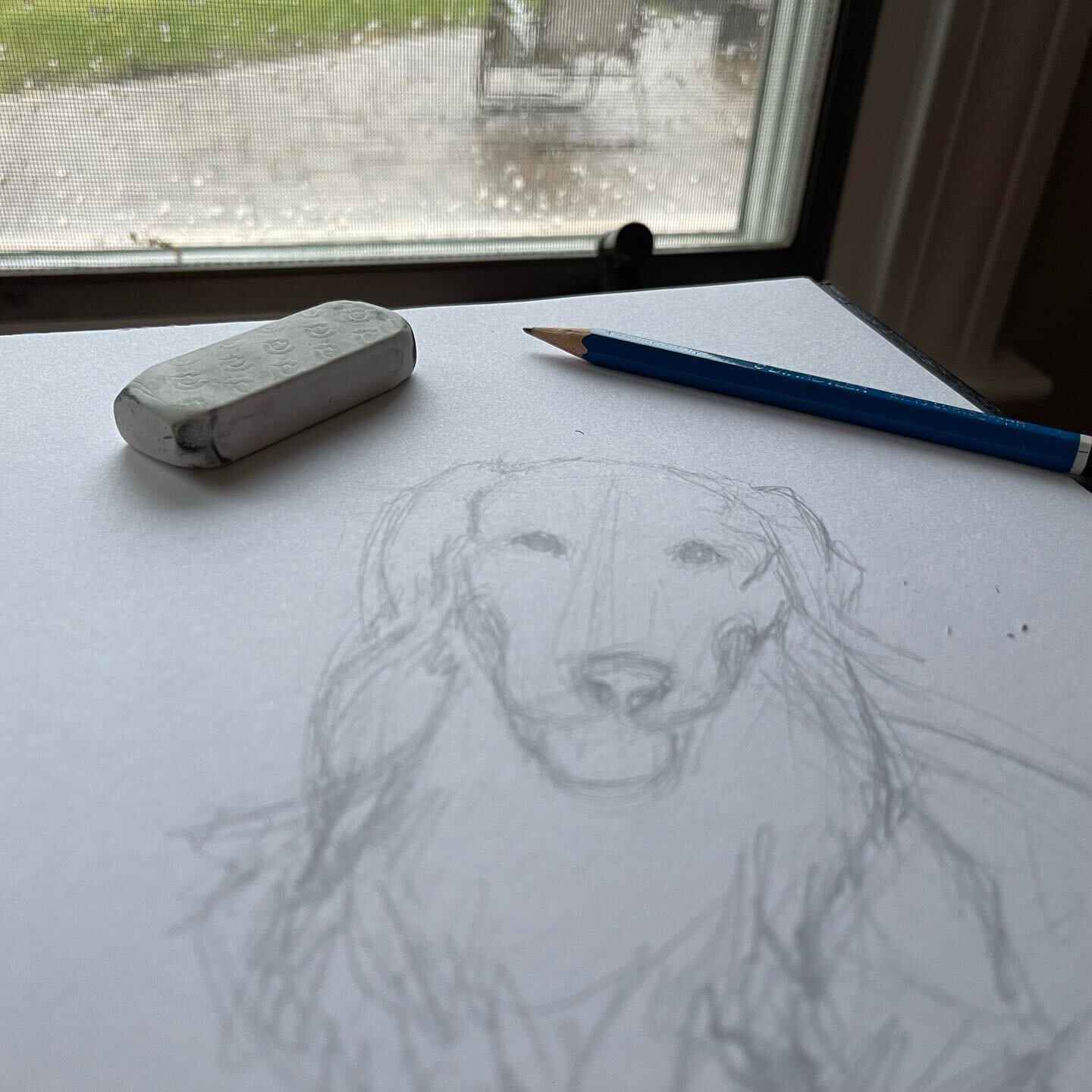 Working from home on this rainy day 🐶 ✍️ sketching sole studies to capture this retriever&rsquo;s playful personality 🥰
.
There&rsquo;s still time to order a digital Fetch-a-Sketch! (Link in bio)
.
3️⃣ things you can do with your Fetch-a-Sketch dig