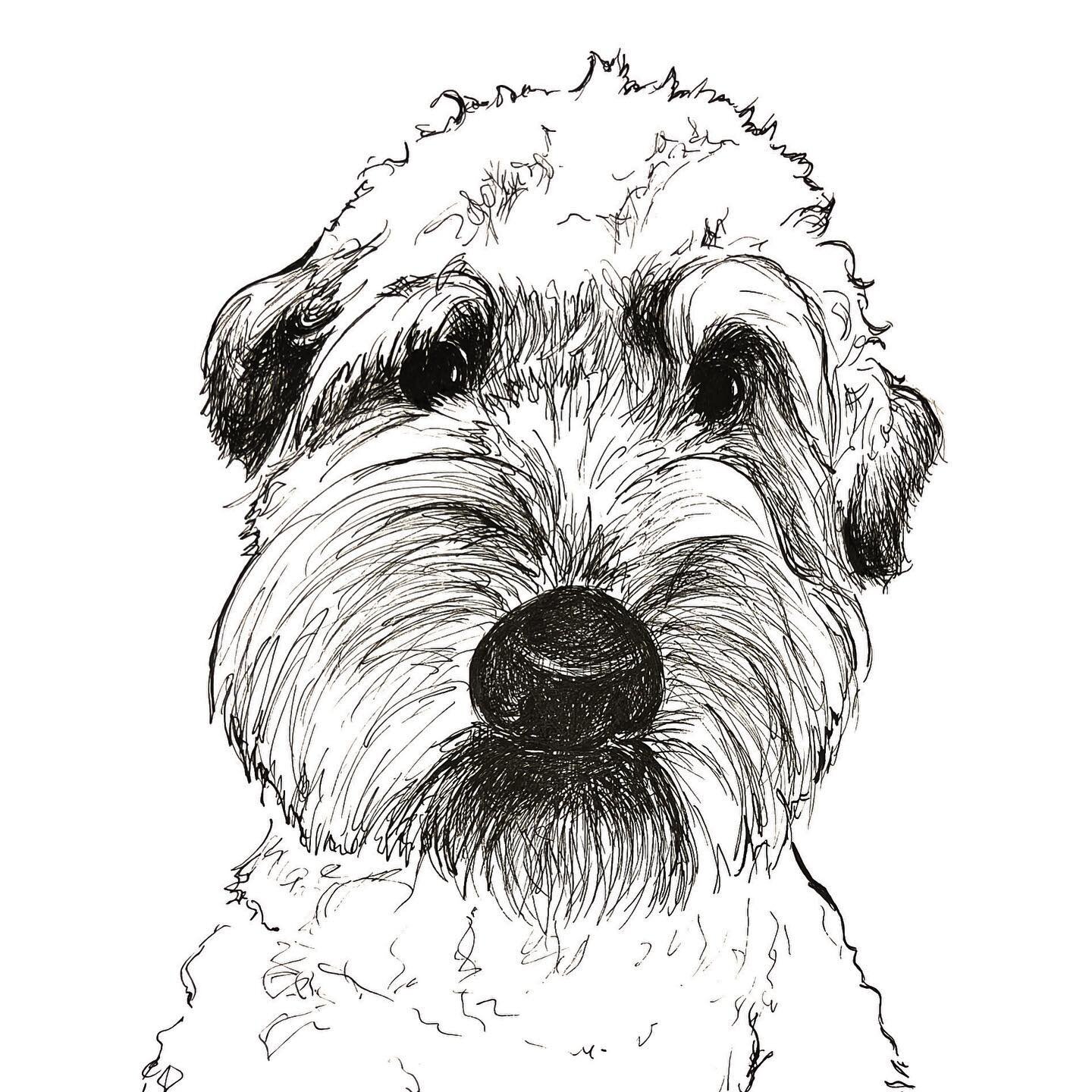 Fluffy pup! This was a fun Fetch-a-Sketch to work on. I especially live his eyebrows!
.
.
.
.
.
.
.
.
.
.
.
.
.
#fetchasketch #petportraits #inkdrawing #digitalfetchasketch #giftideas #2022highlights #artlife