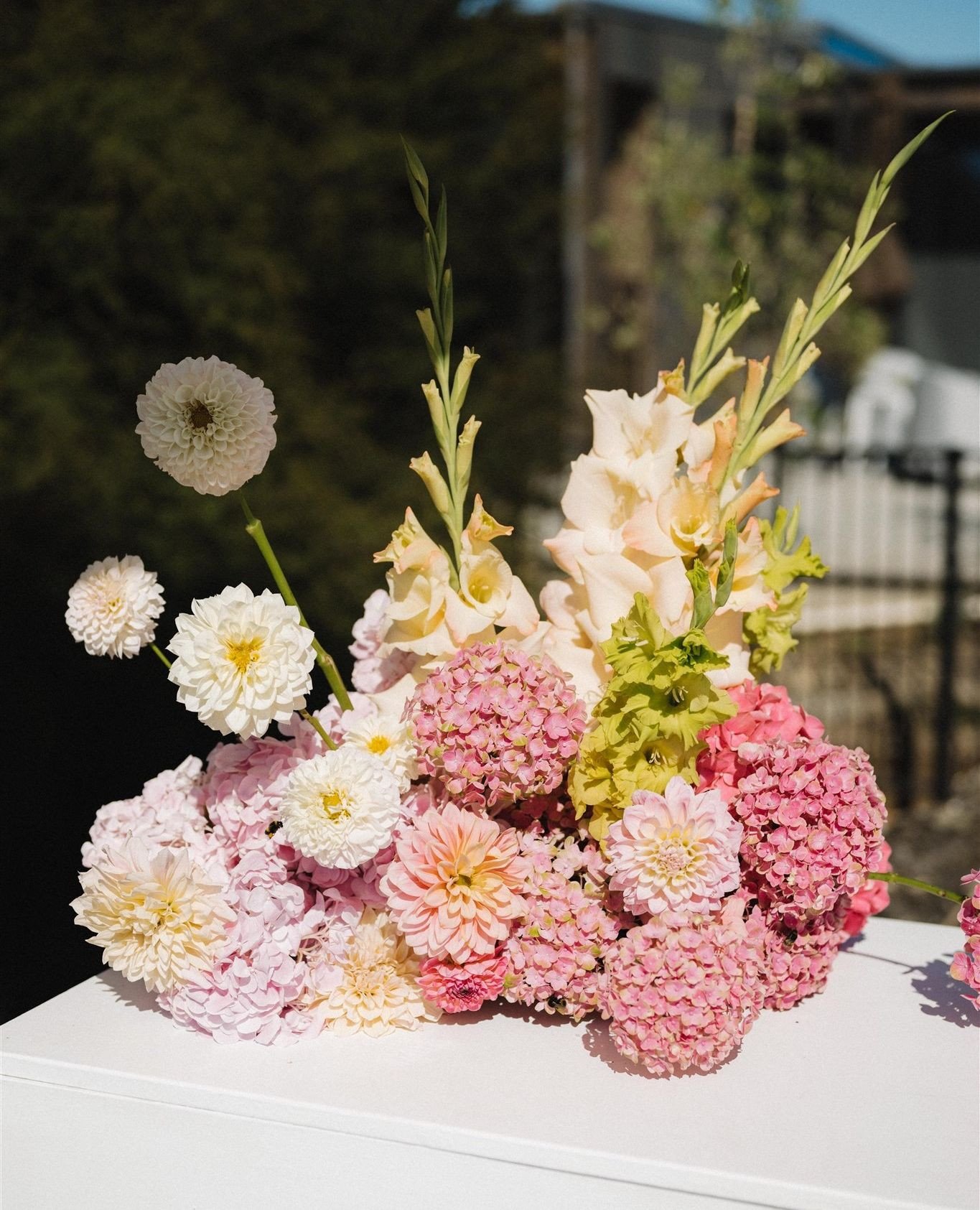 For Georgia 🎀⁠
.⁠
.⁠
.⁠
@mickeyross⁠
@alexandrakatecreative