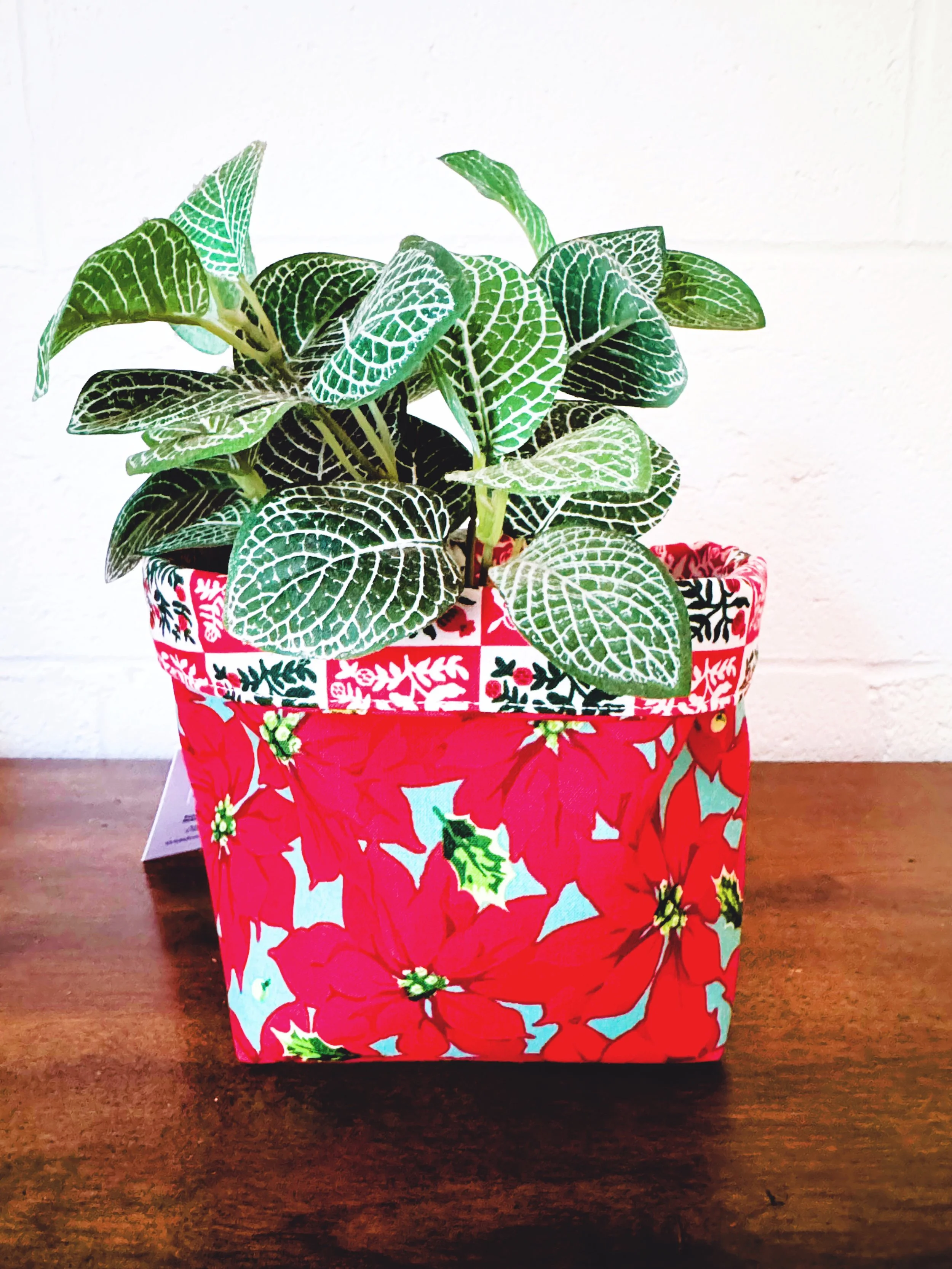 Christmas Plant Sack