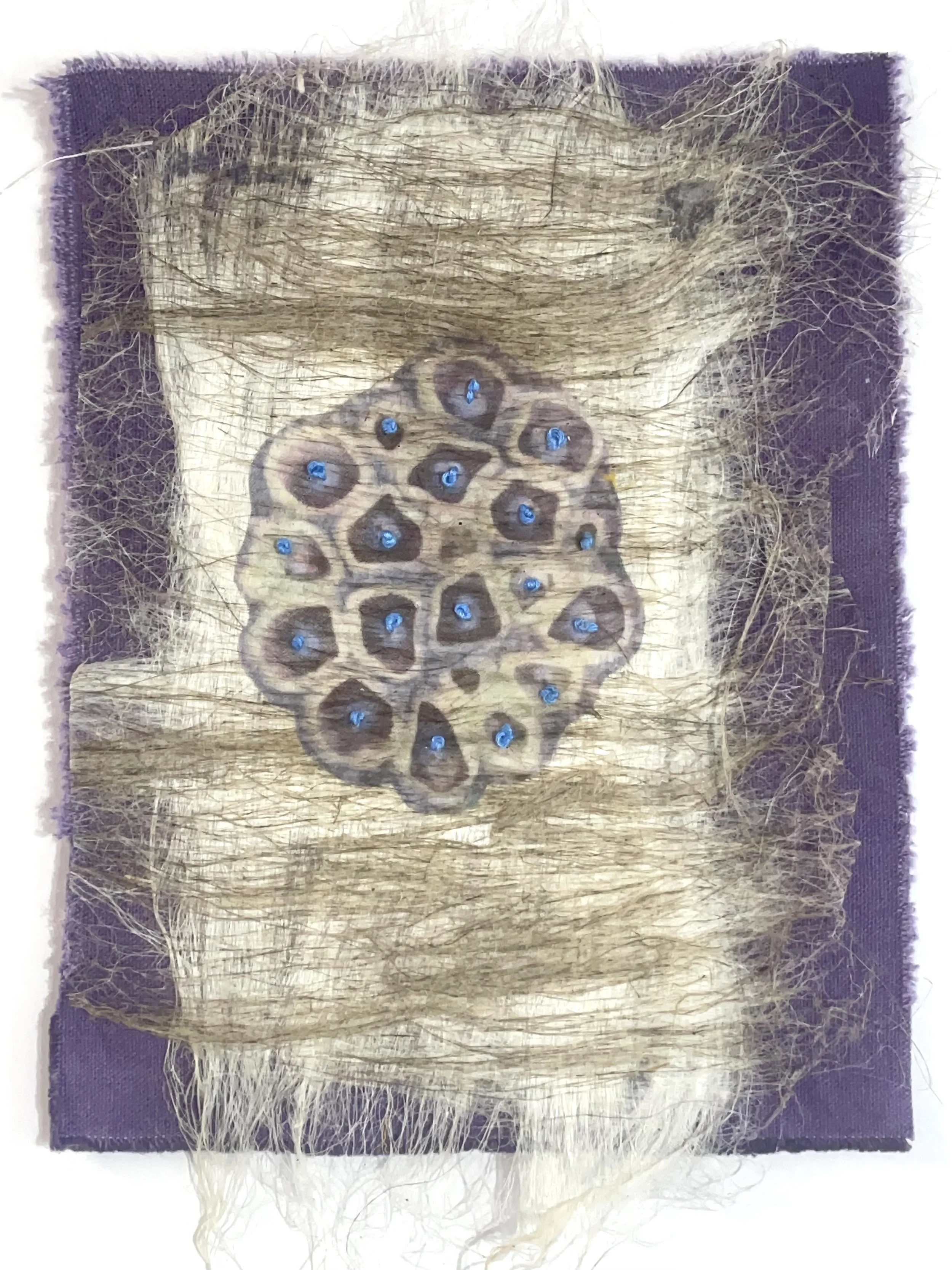 SEED ON LOGWOOD Flax, silk, thread, botanical dyed canvas 7” W X 11” H unframed 9” W X 14” H framed