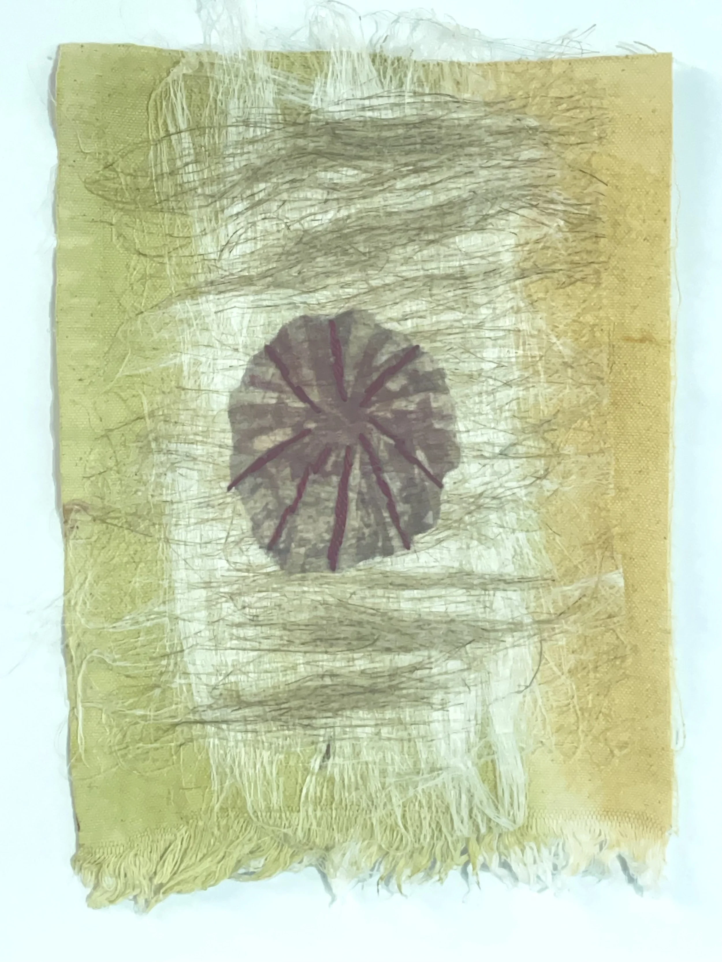FLAX SEED ON SOY PAINT Flax, silk, thread, botanical dyed canvas 7” W X 11” H unframed 9” W X 14” H framed