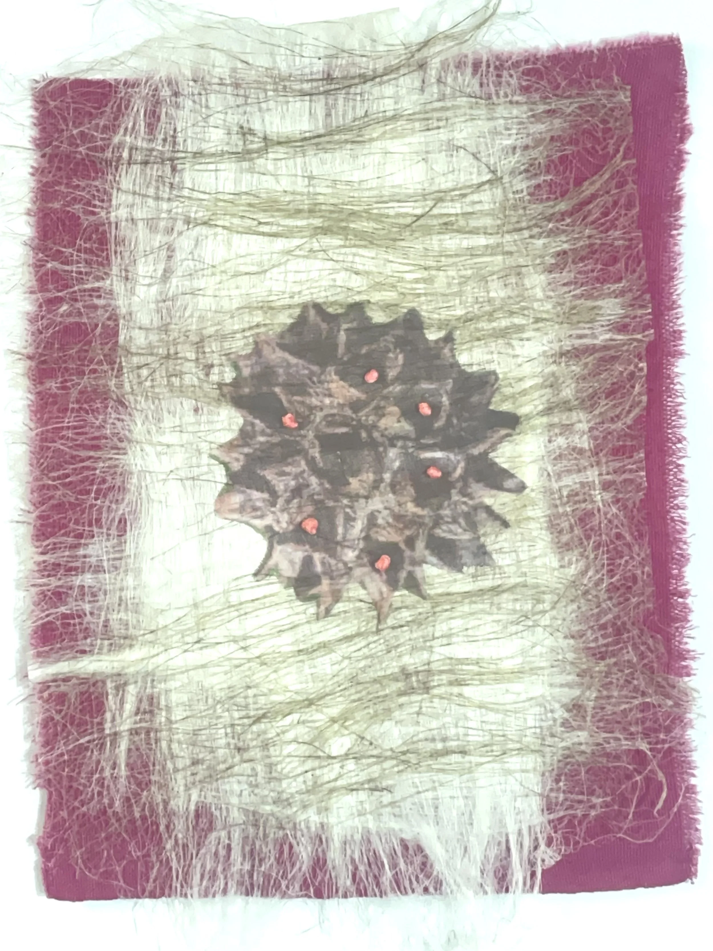 FLAX SEED ON COCHINEAL Flax, silk, thread, botanical dyed canvas 7” W X 11” H unframed 9” W X 14” H framed